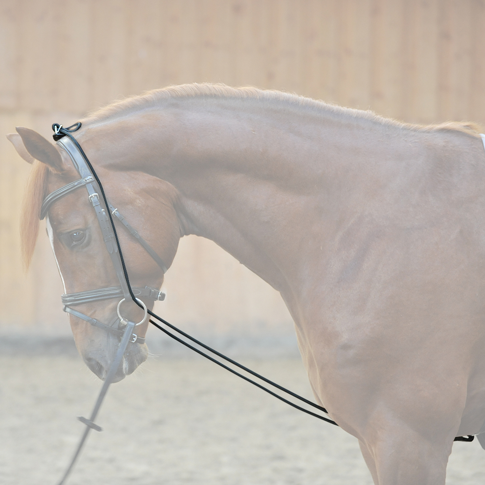 Kavalkade Halsverl&auml;ngerer