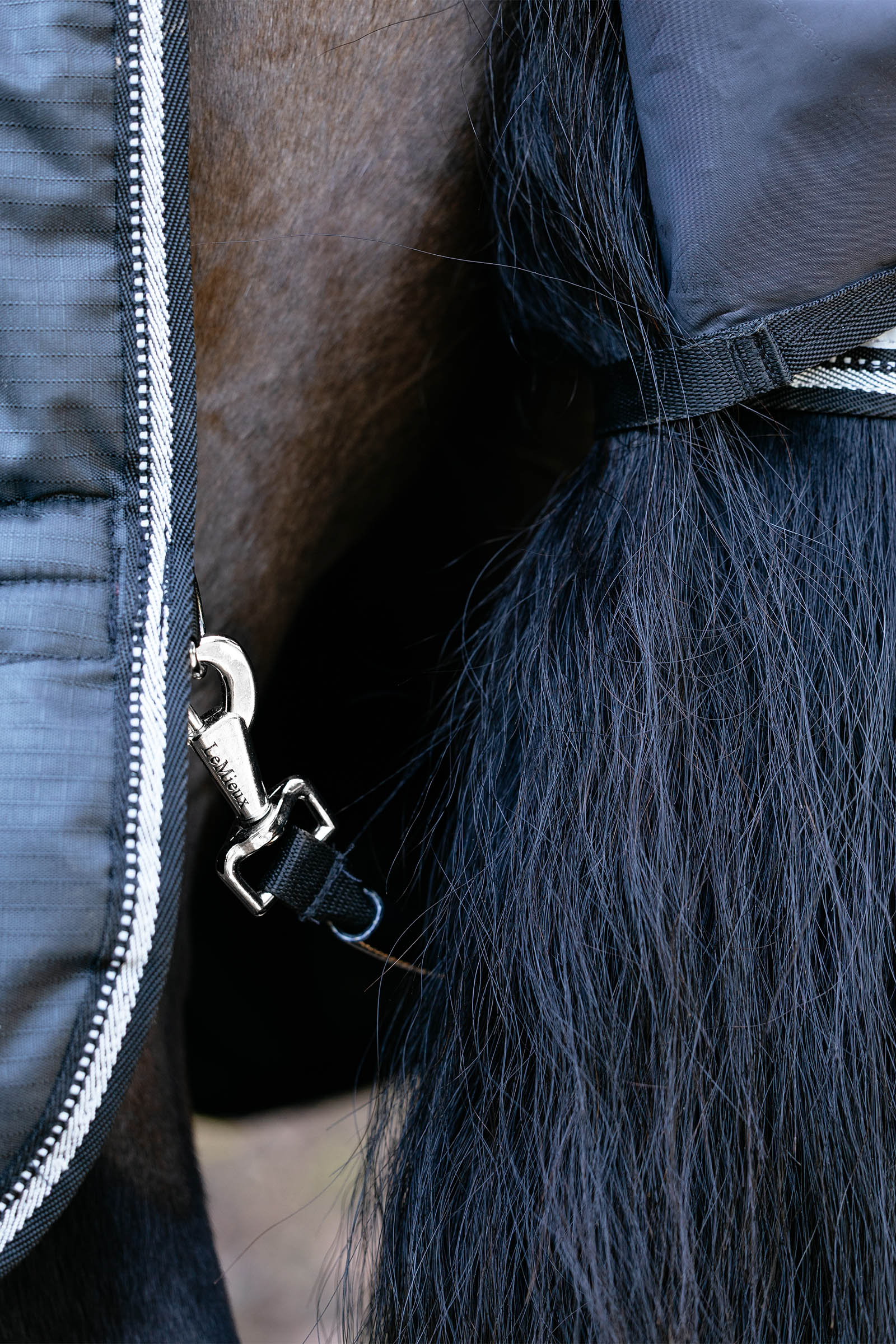 LeMieux Arika reflektierende Weidedecke mit abnehmbarem Halsteil, 100&nbsp;g