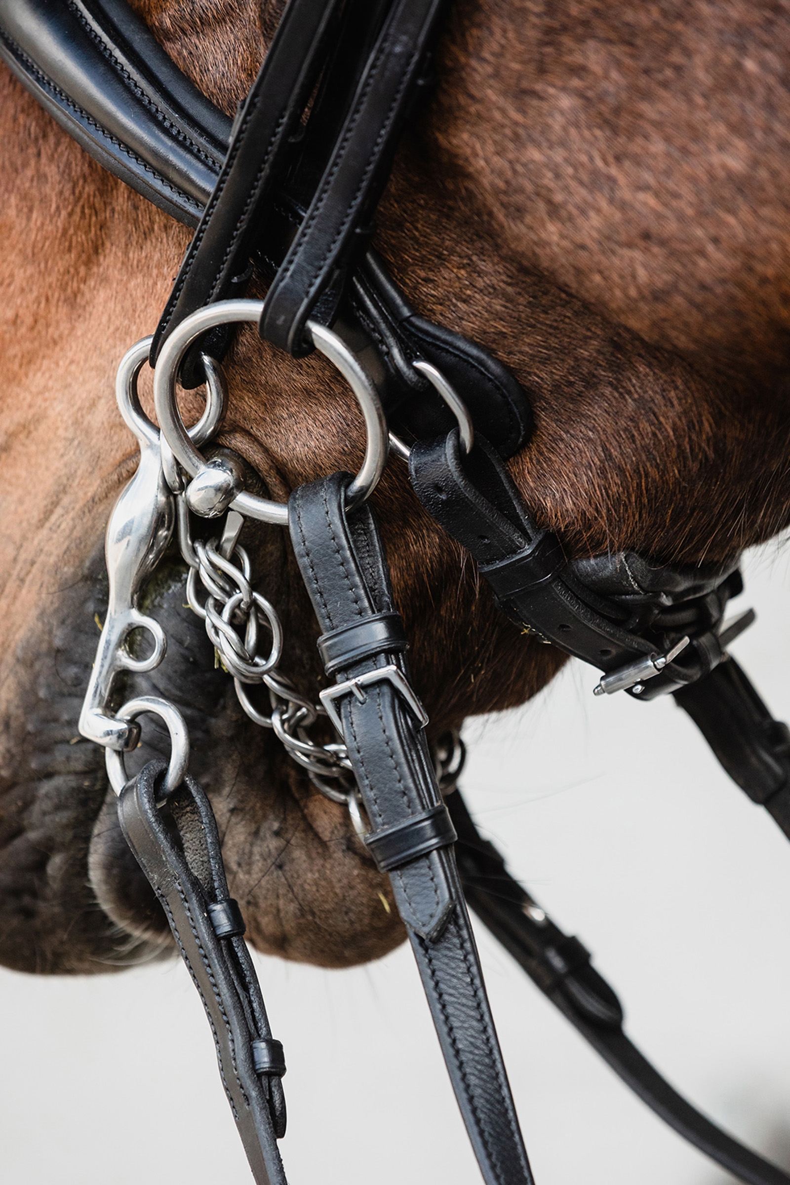 Schockem&ouml;hle Sports Milton Anatomische Kandare