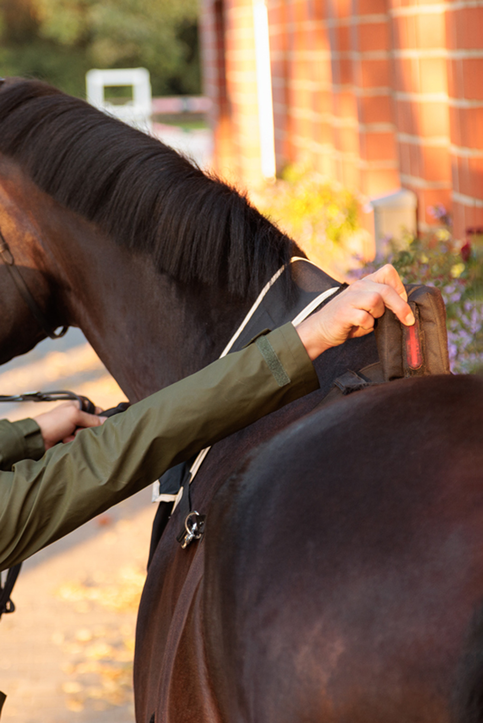 Kavalkade Horselight Bauchgurt mit rotem Rücklicht
