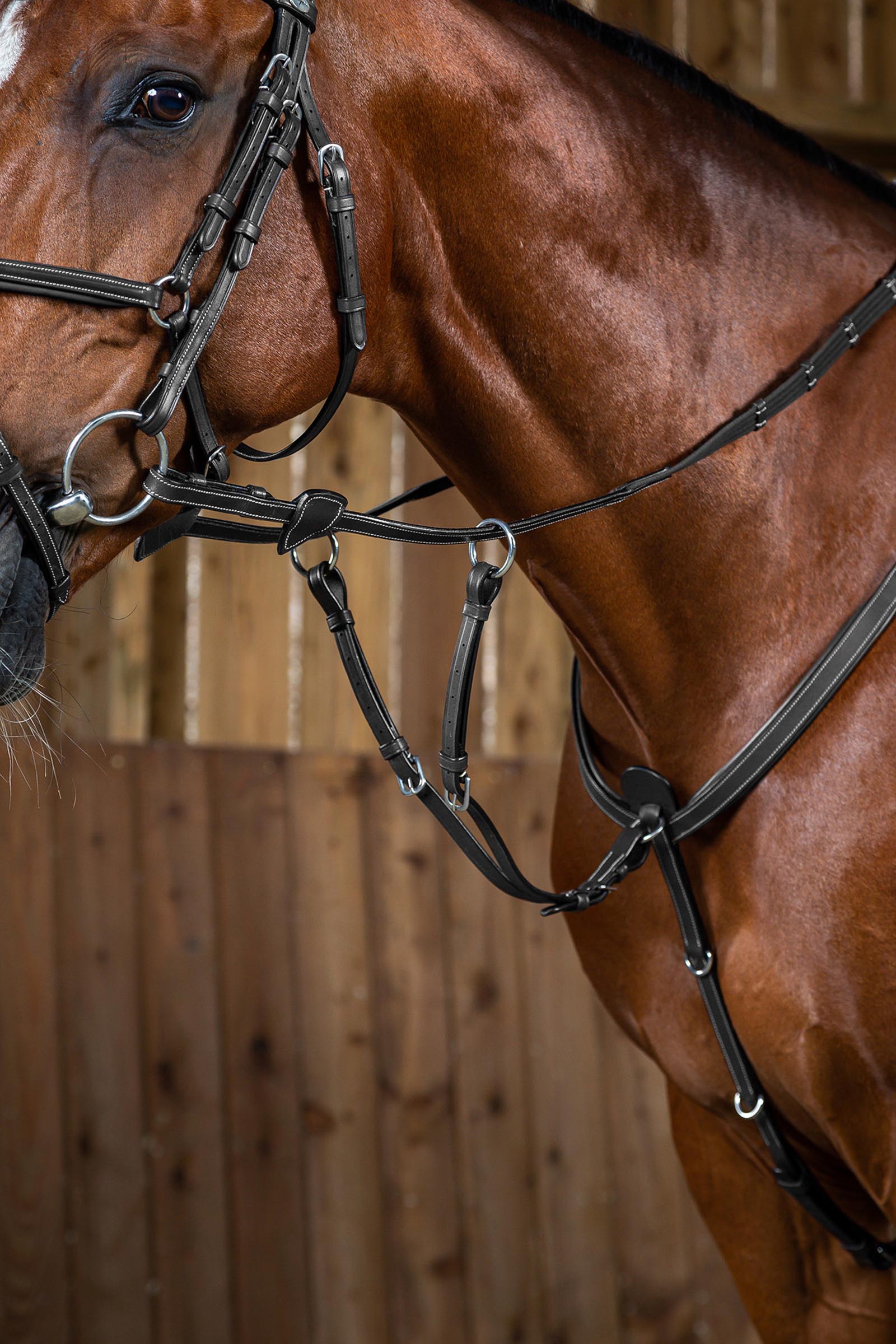 Dy'on Working Martingalgabel