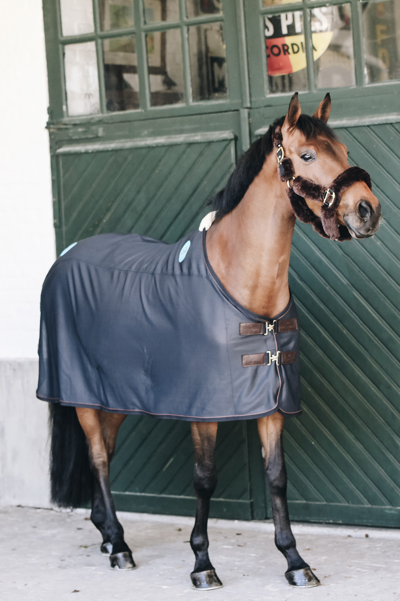Kentucky Horsewear Magnetic Rug Recuptex Magnetfelddecke