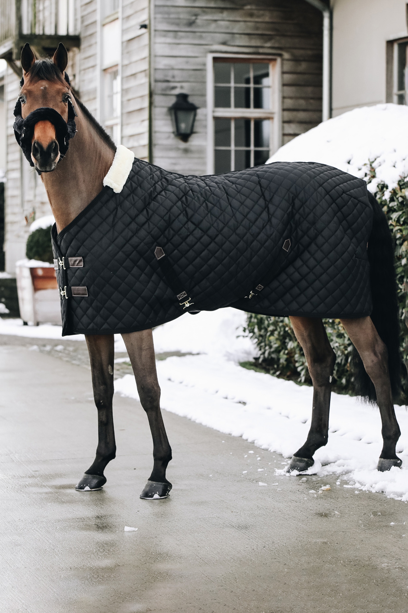 Kentucky Horsewear Stalldecke, 400g