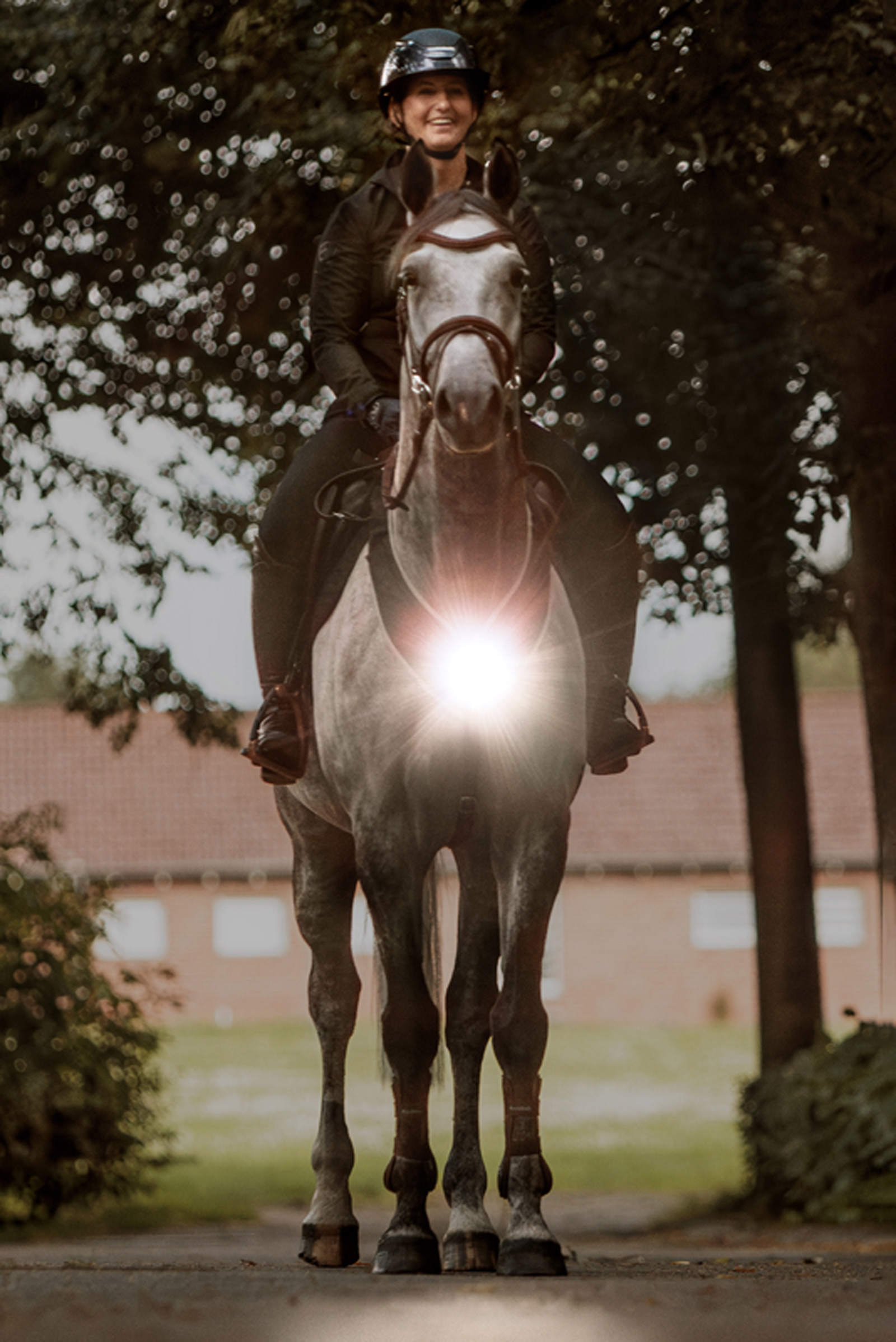 Kavalkade Horselight Vorderzeug mit weißem Frontlicht