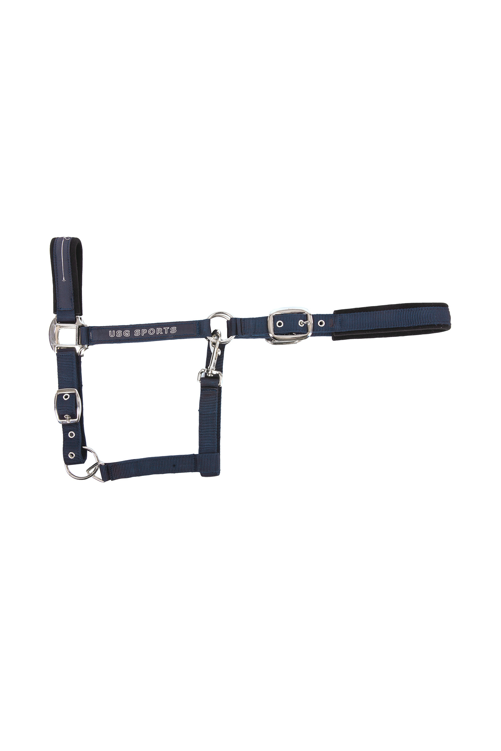 DB/AB USG Rosi Halfter