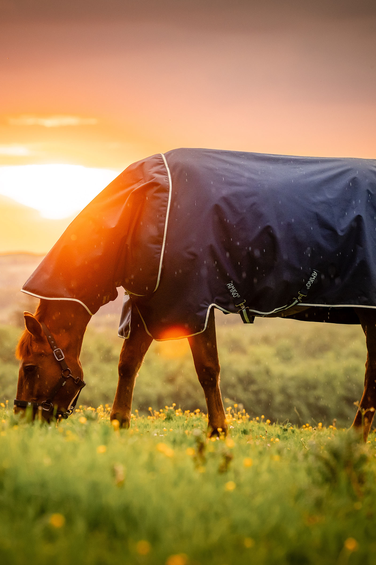 Horseware Amigo Ripstop 900D Plus Weidedecke mit abnehmbarem Halsteil, 100 g