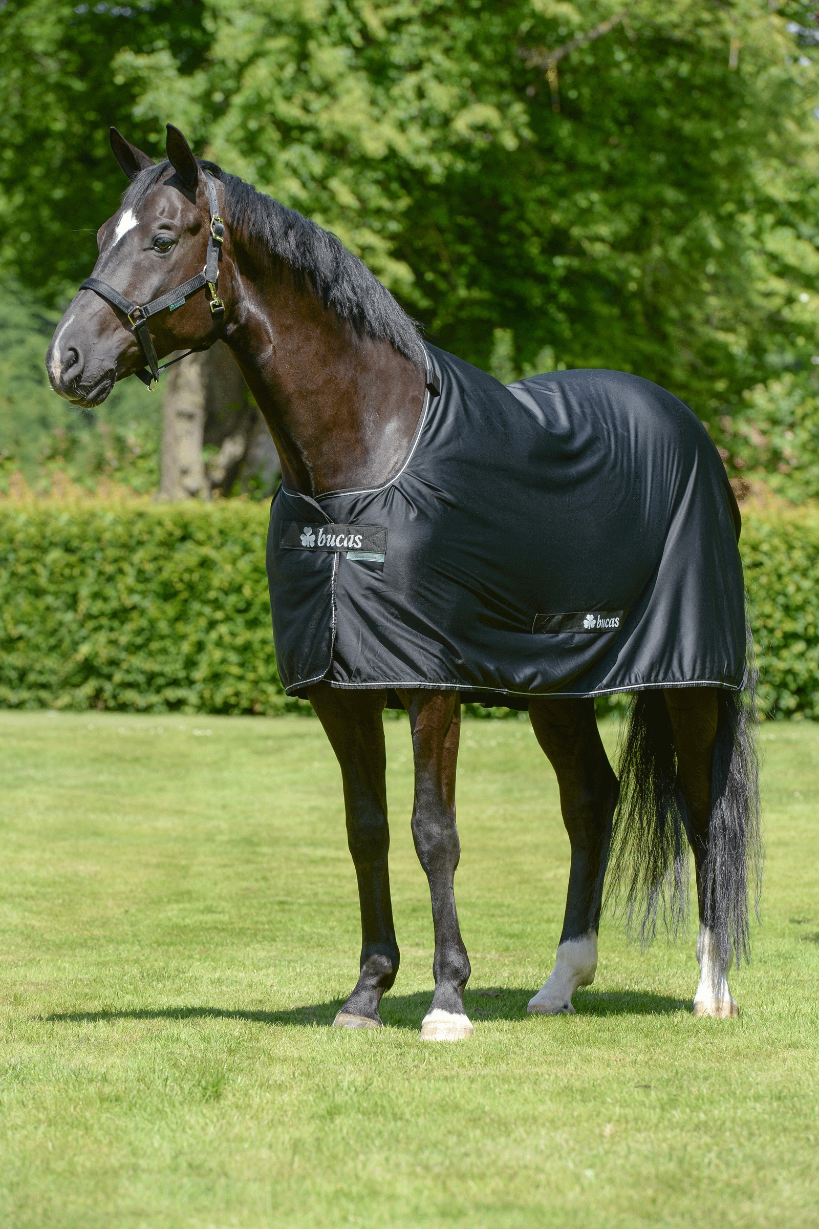 Bucas Power Abschwitzdecke