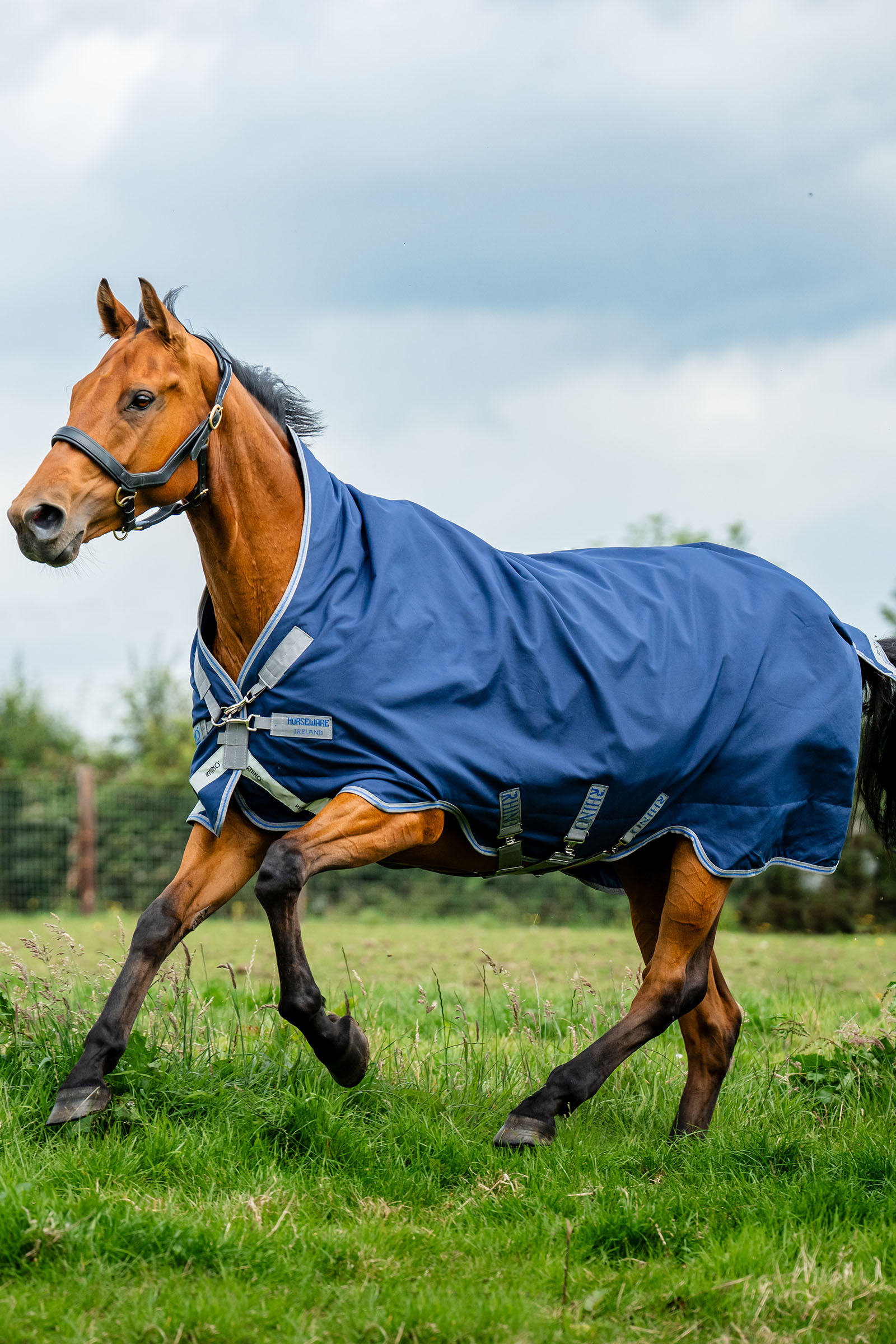 Navy/Titanium Grey & Classic Blue Horseware Rhino Wug Weidedecke, 100 g