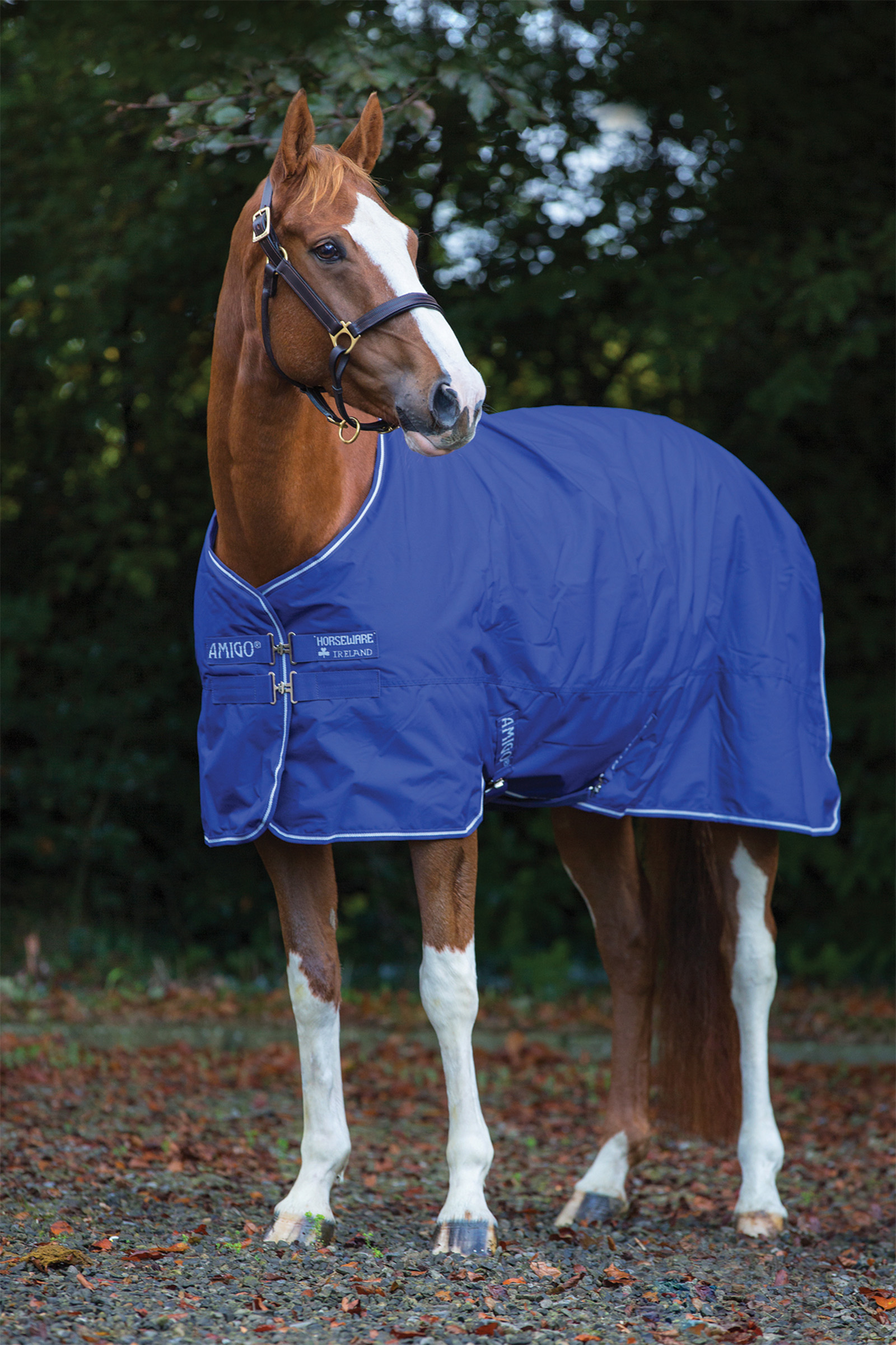 Horseware Amigo Hero 900 Plus Medium Weidedecke, 200g