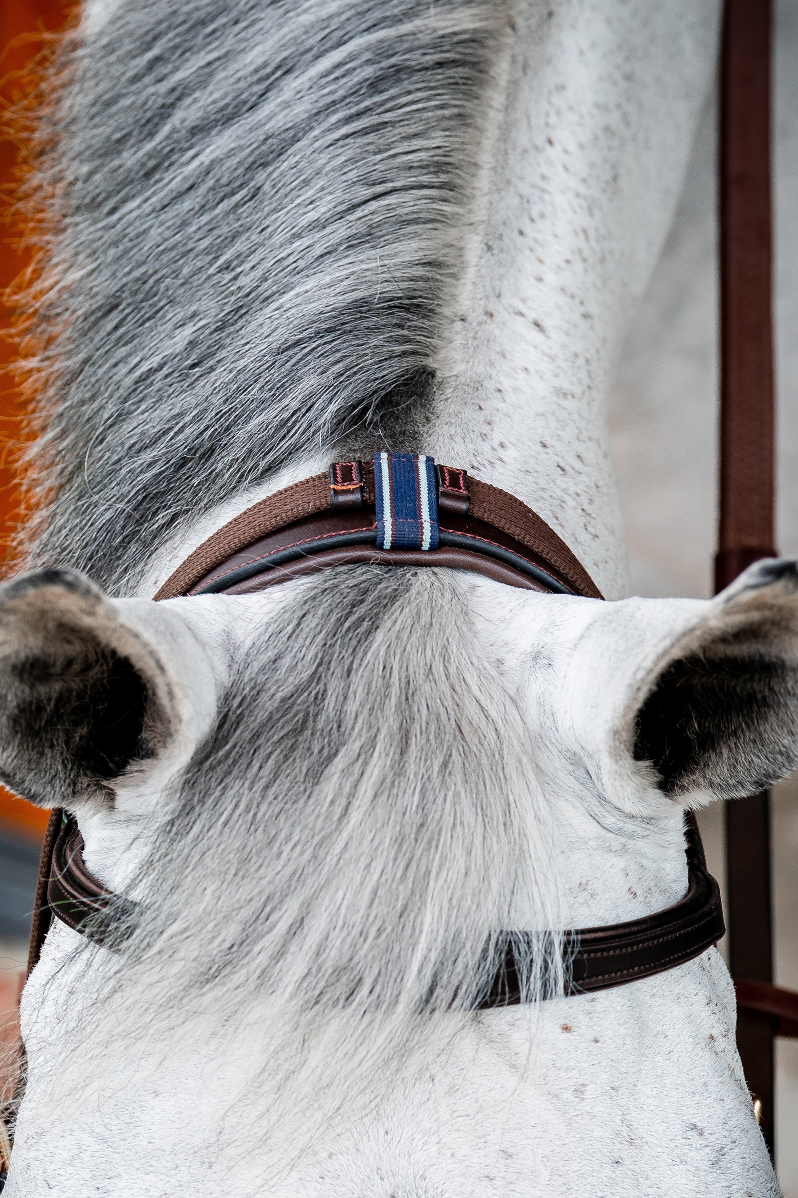 Horseware Micklem 2 Multi Trense