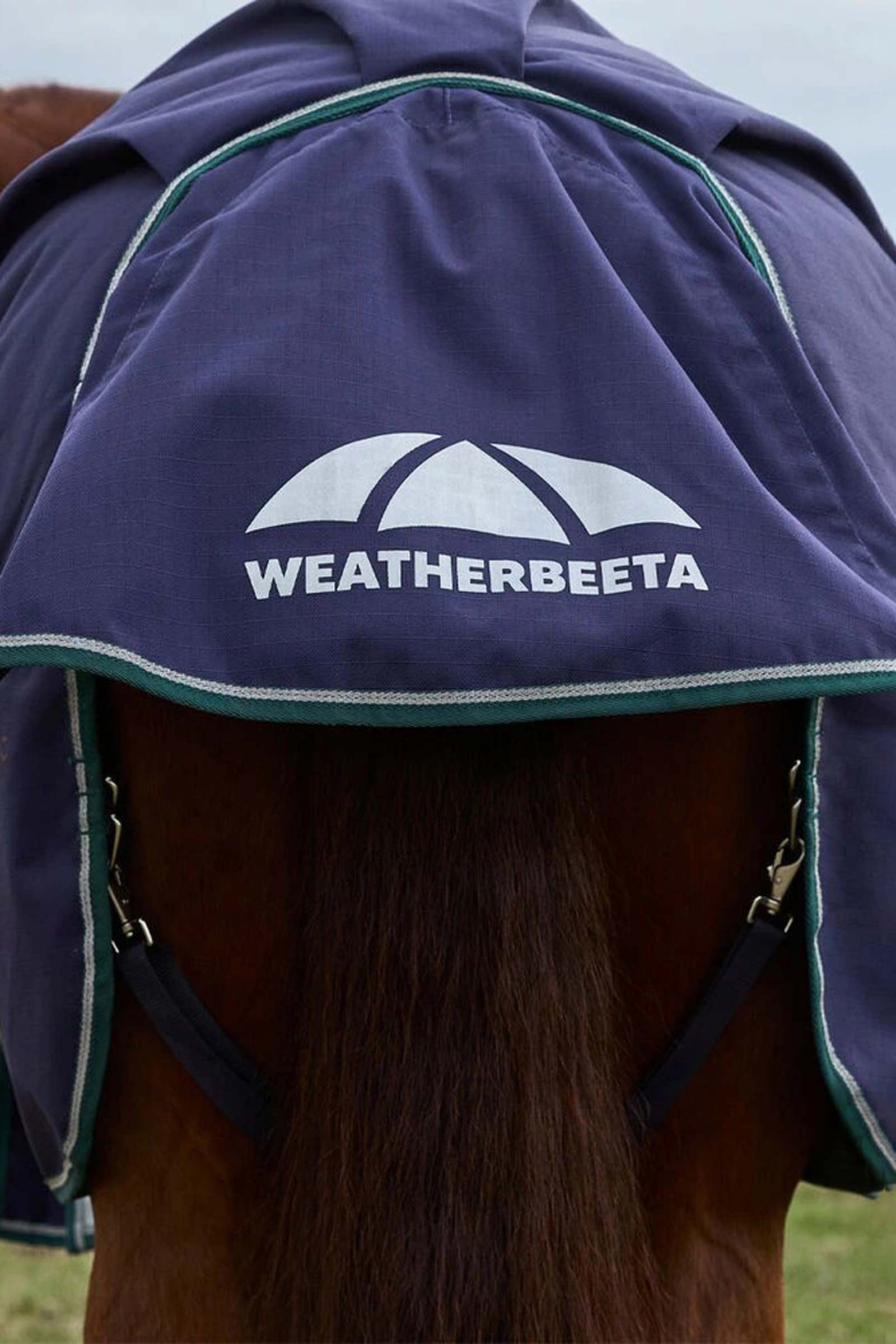 Weatherbeeta ComFiTecPlus Dynamic Turnout Detach-A-Neck 220G