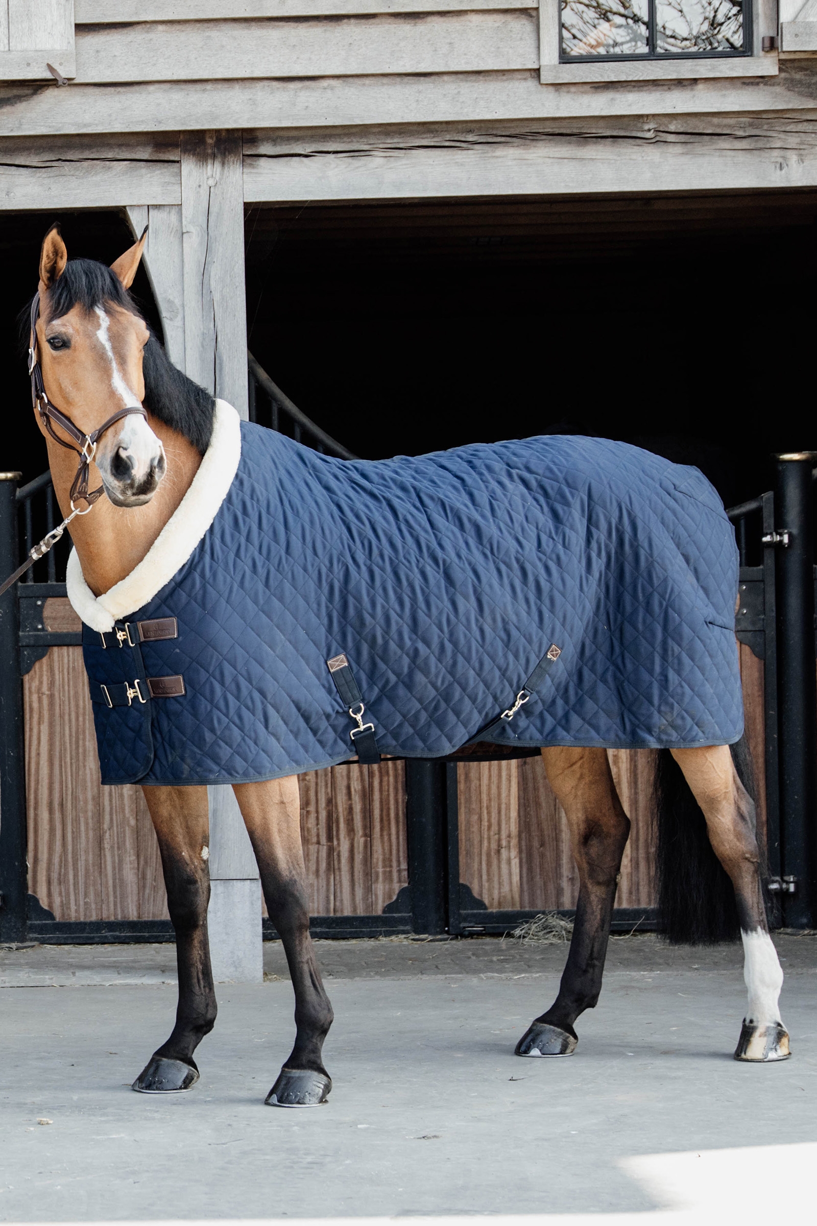 DB/AB Kentucky Horsewear Show Rug Turnierdecke, 160g