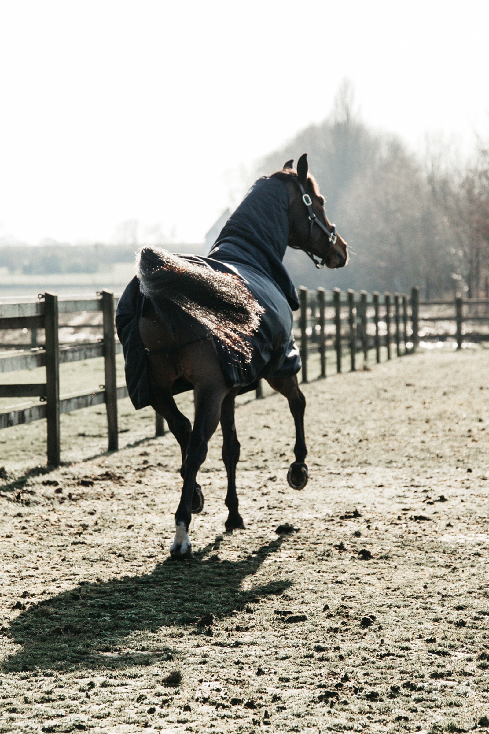 Kentucky Horsewear All Weather Waterproof Classic Regendecke, 50g