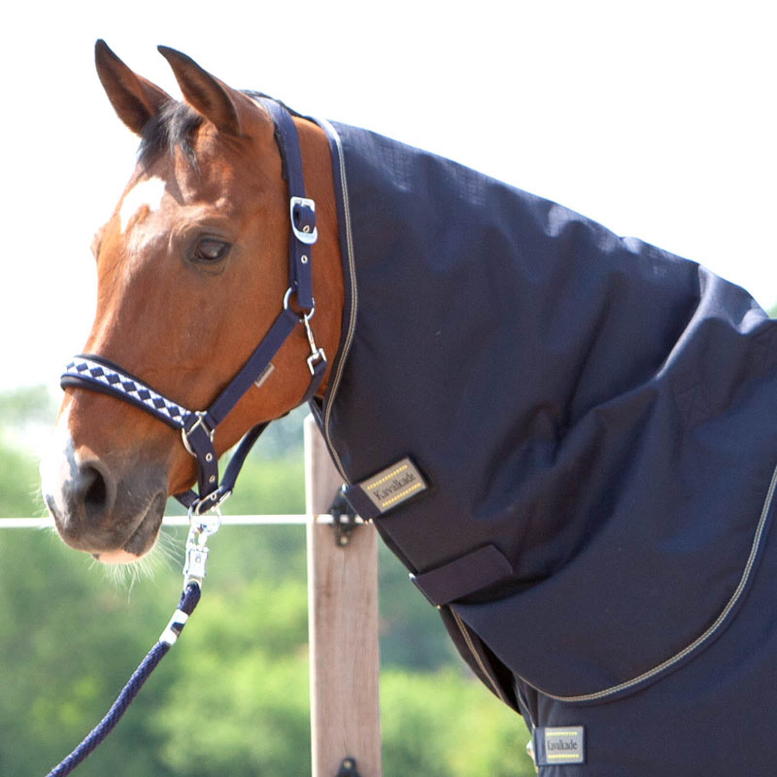 Kavalkade Halsteil f&uuml;r Montreal Weidedecke, 100g