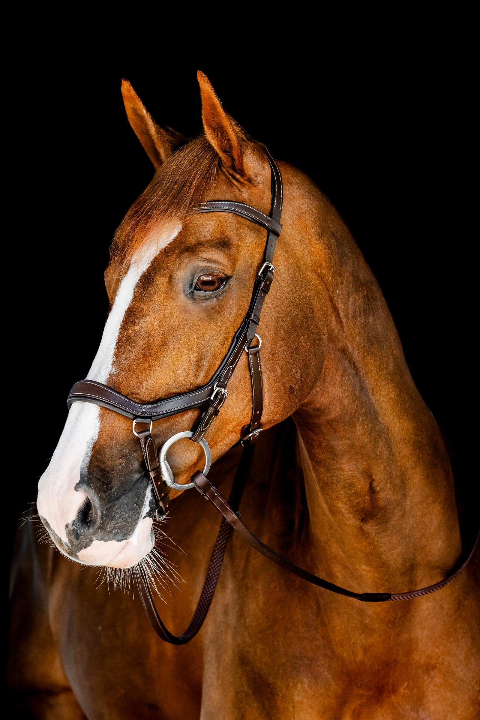 Horseware Rambo Micklem Competition Trensenzaum