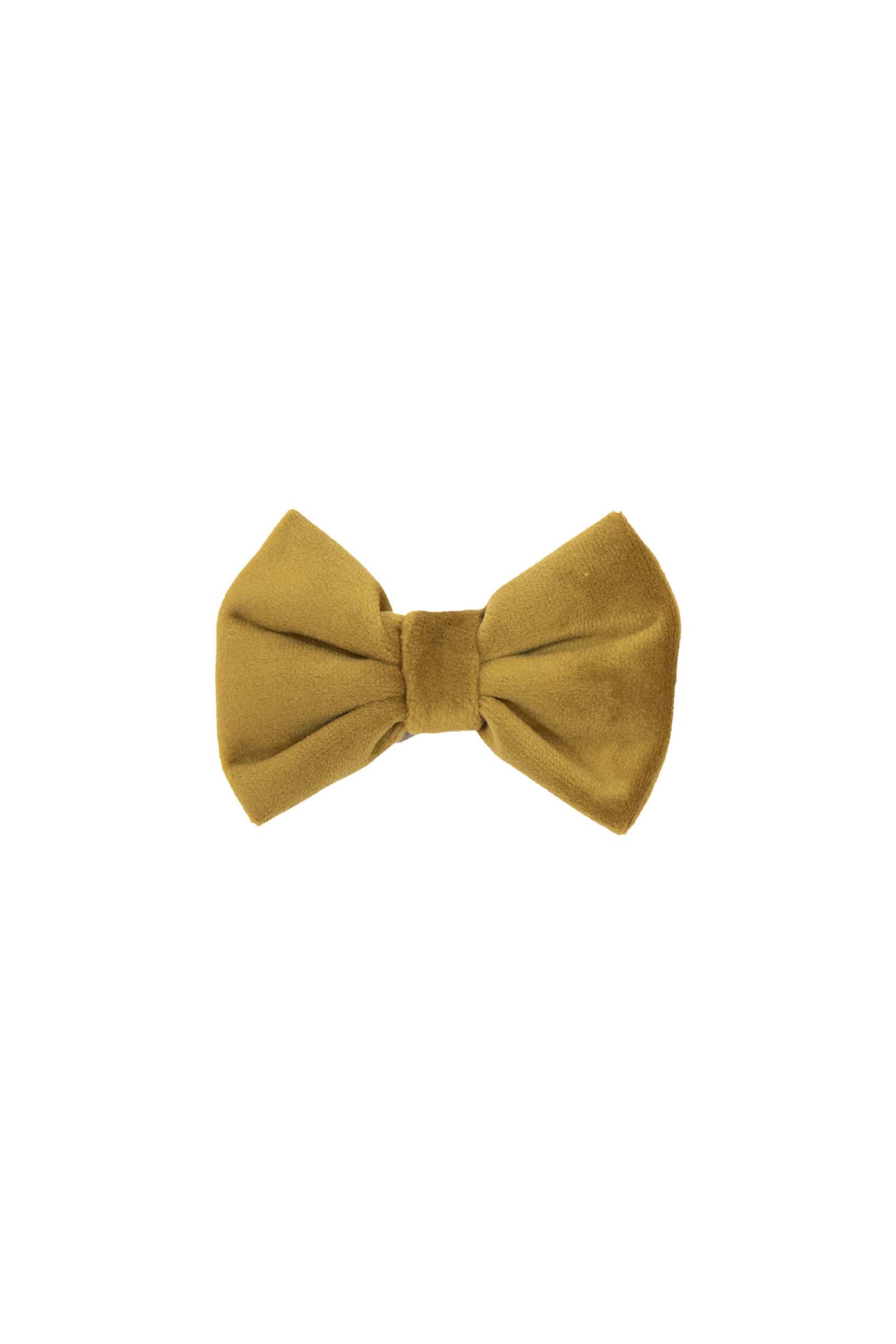 Mustard Gold Kentucky Dogwear Velvet Fliege
