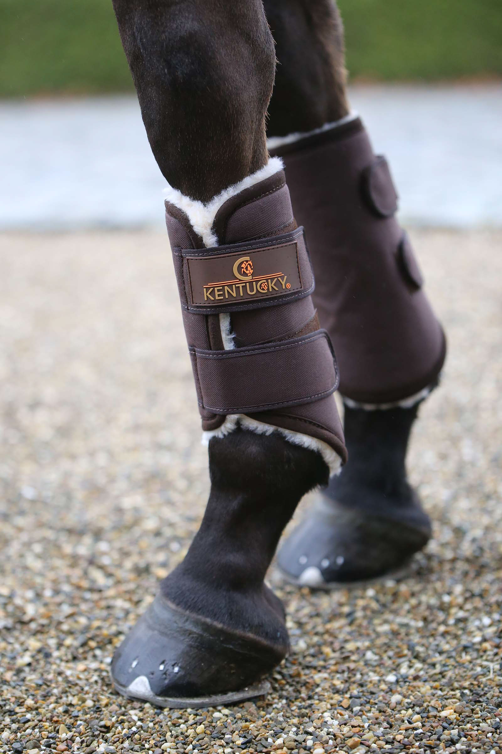 Brown Kentucky Horsewear Solimbra Arbeitsgamaschen Vorne