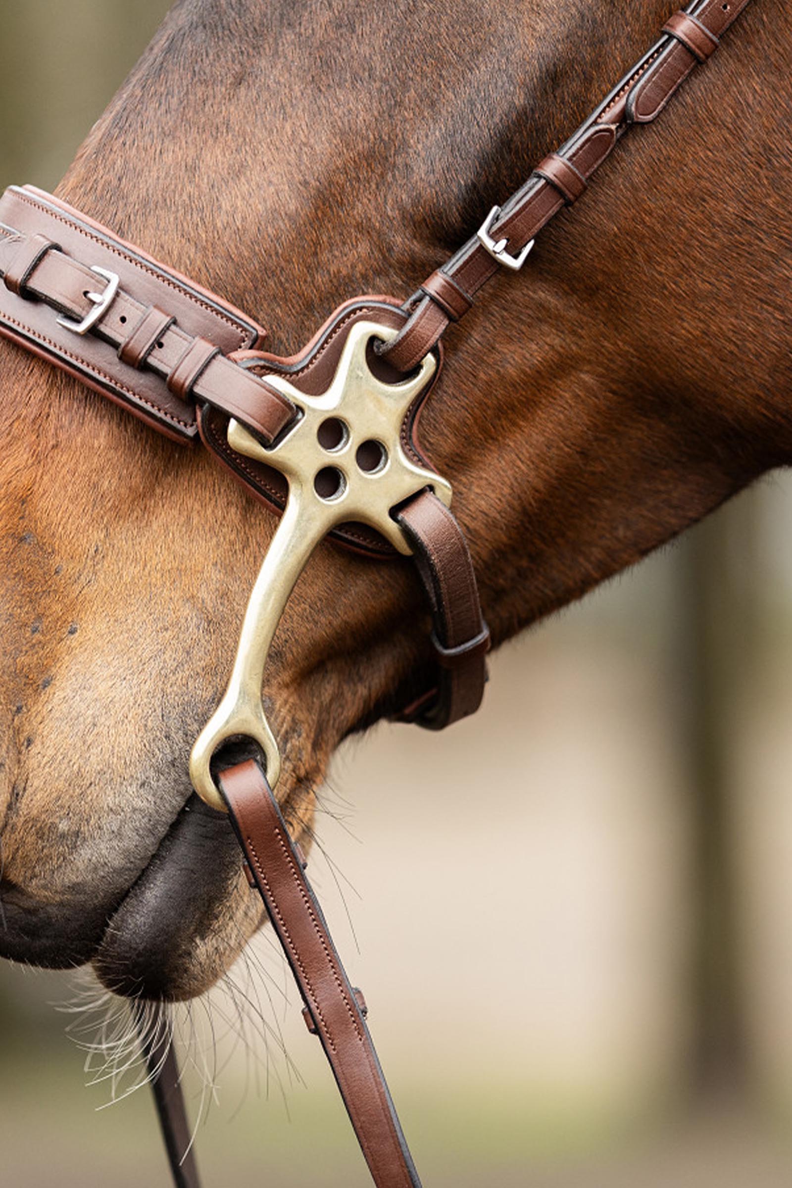Trust Equestrian Bridle Sopot Hackamore Bridle, Cheeks 16 Cm