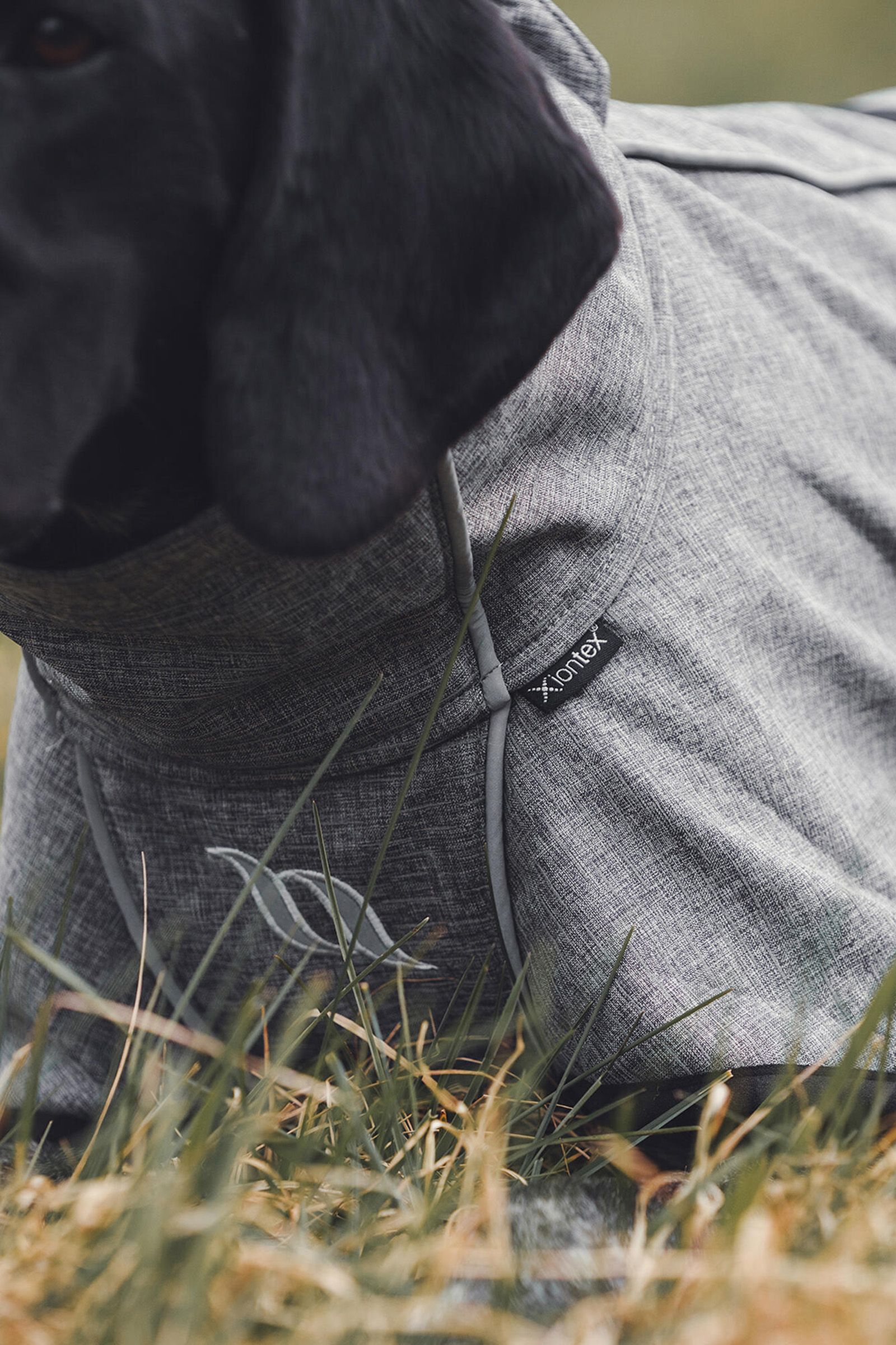 Back on Track Bark All-Round Hundemantel, 40-50cm