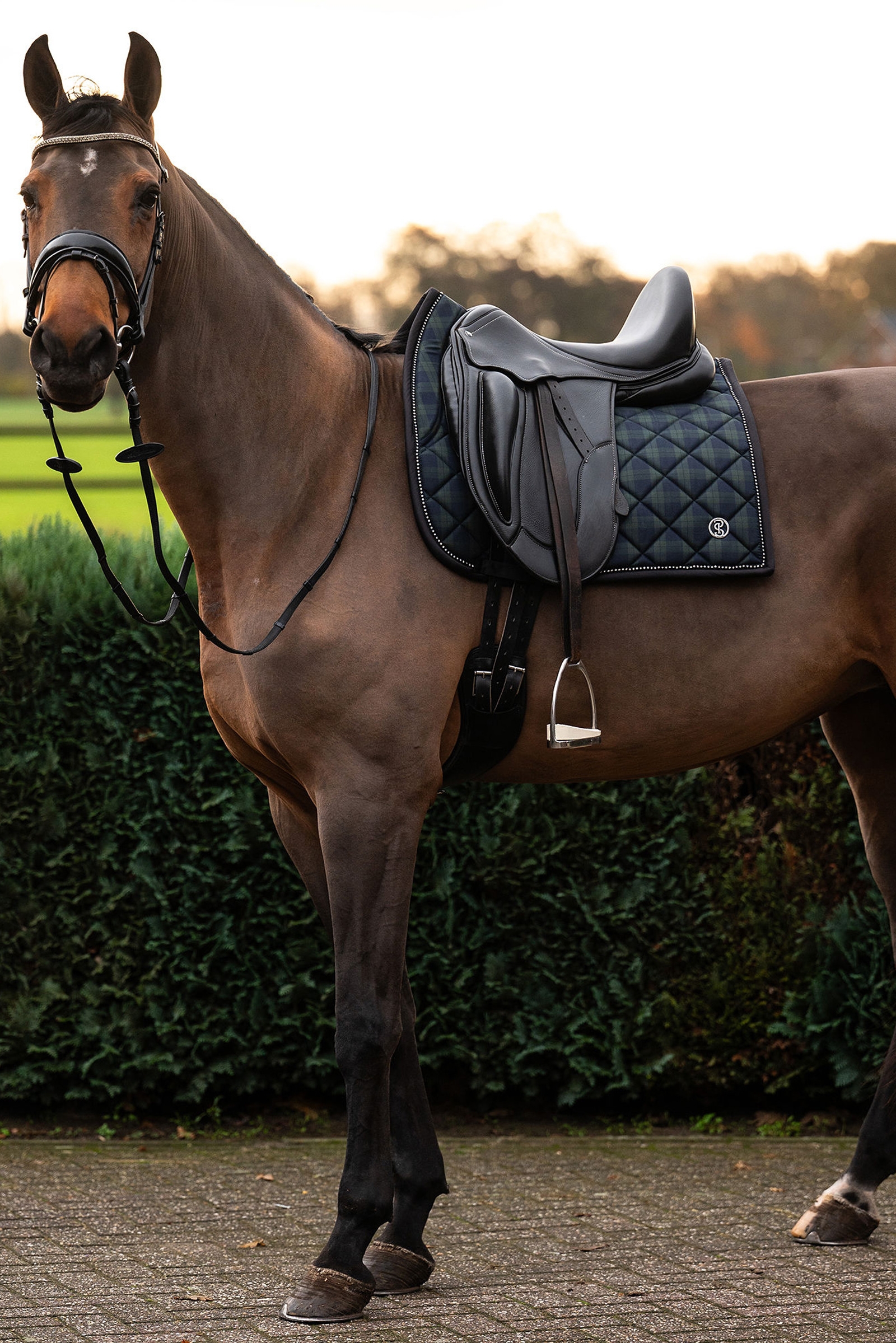 PS of Sweden Checked Dressage Saddle Pad