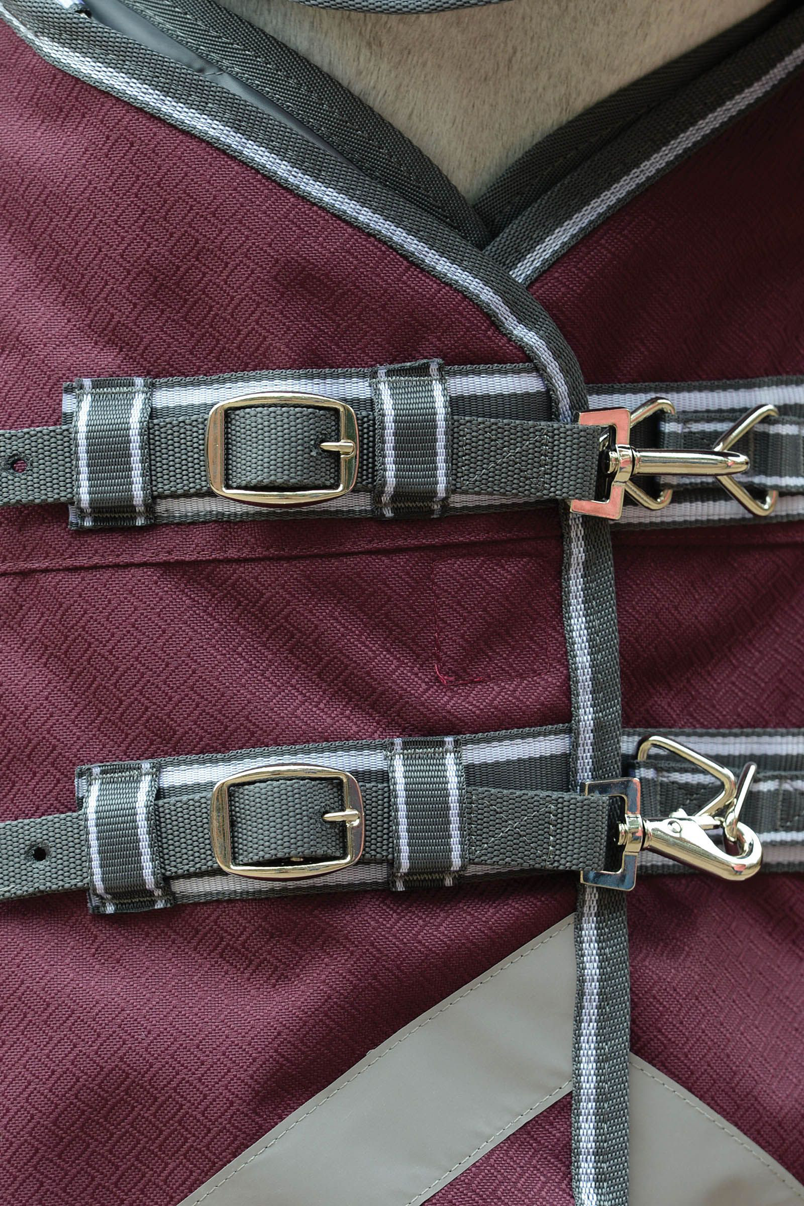 Weatherbeeta Comfitec Plus Dynamic II Weidedecke mit integriertem Halsteil, 220g