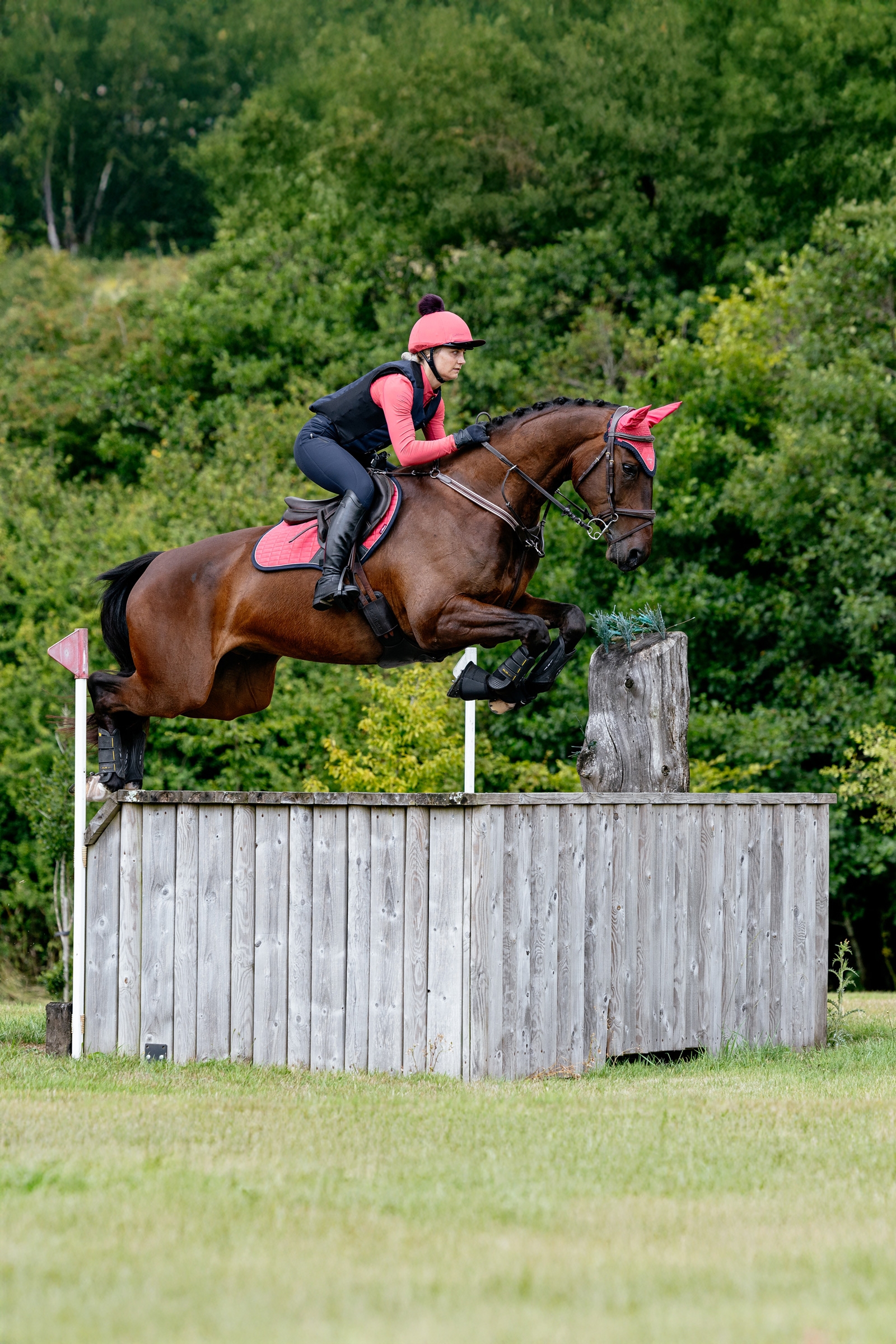 LeMieux Suede Square CC Springschabracke