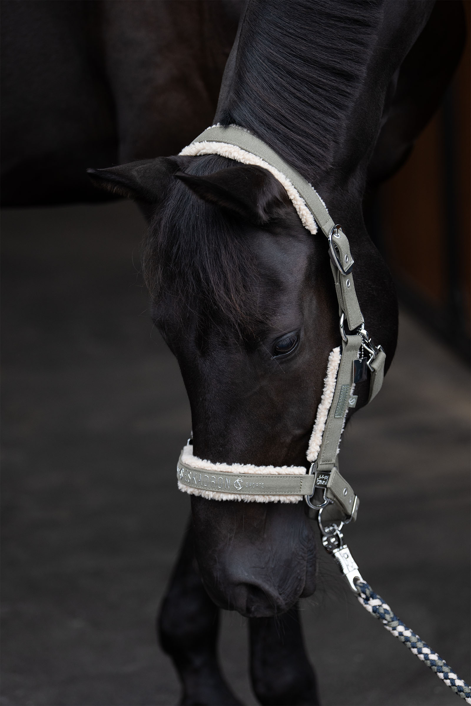 Eskadron Classic Sports SS25 Denim Halfter mit Double Pin und Teddyfleece