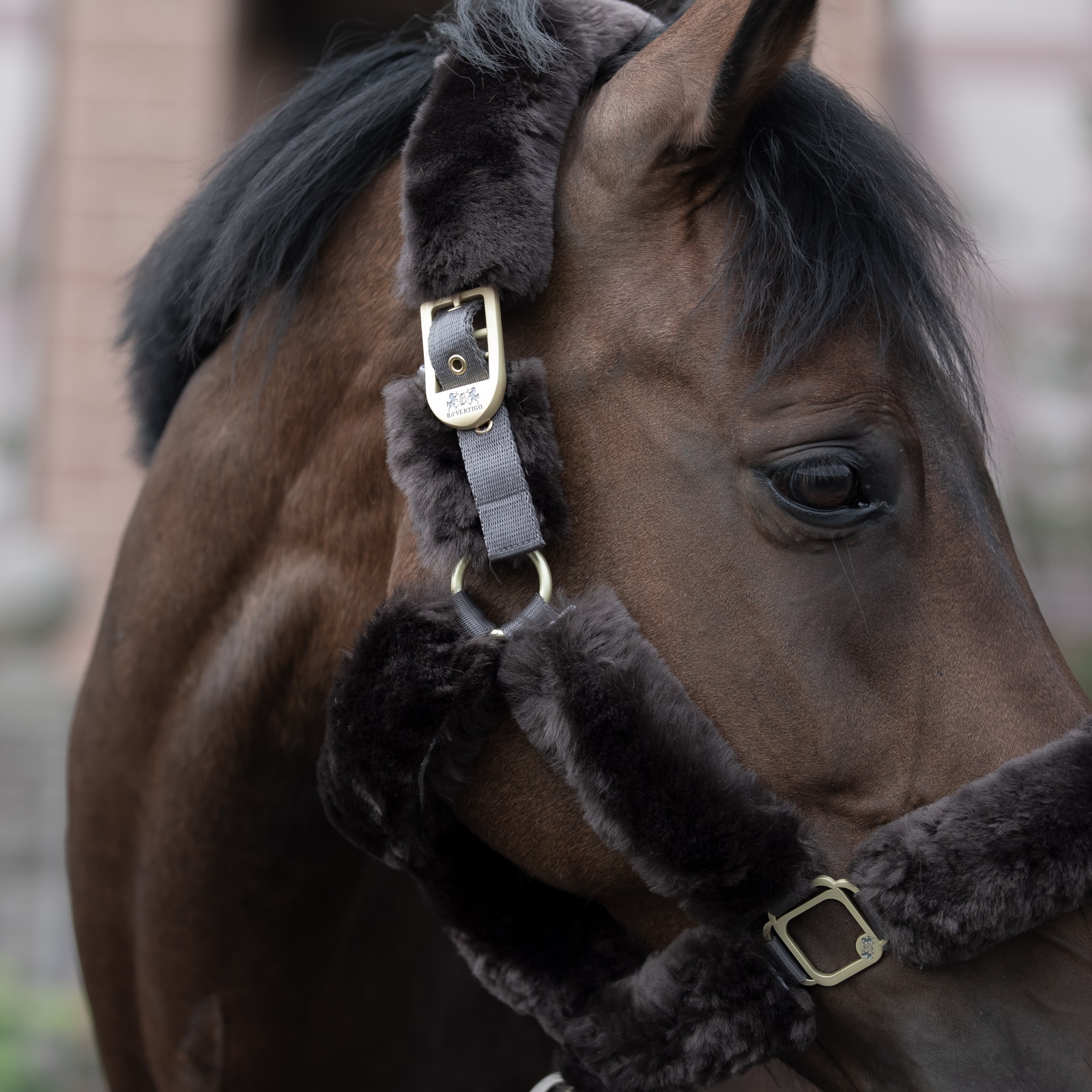 B Vertigo Tremblant Halfter mit Lammfell