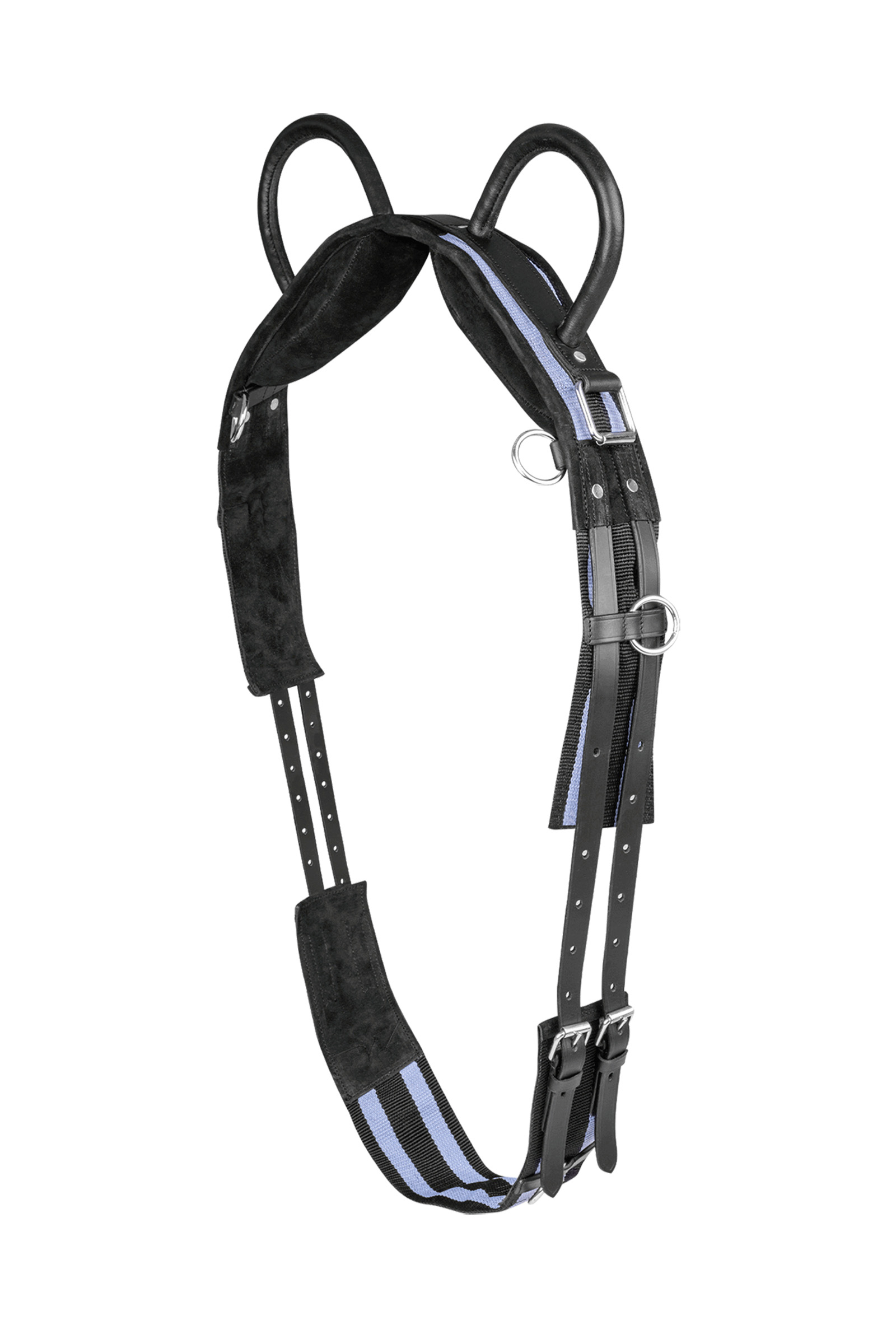 Waldhausen Longiergurt mit zwei Handgriffen