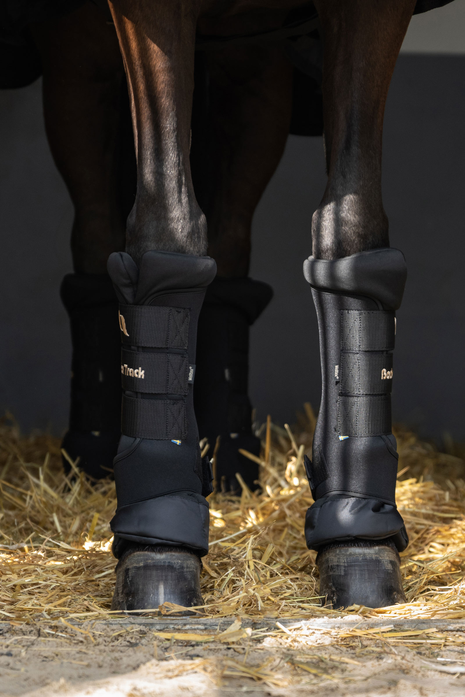 Back On Track Quick Royal Stallgamaschen