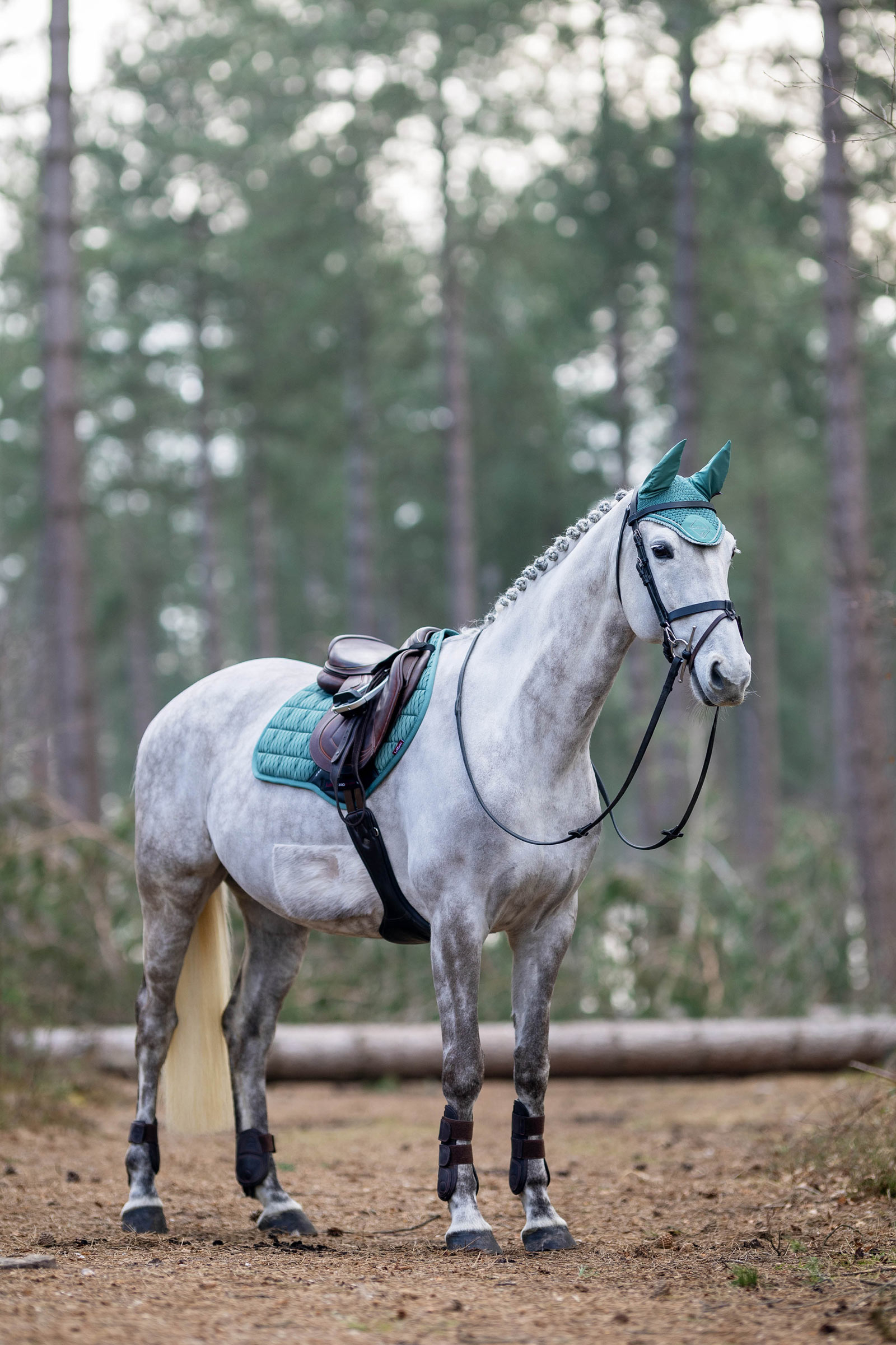 LeMieux Klassische Fliegenohren