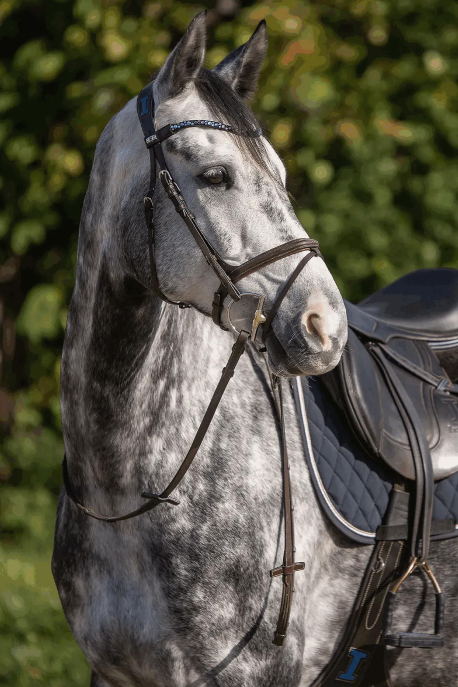 Sprenger Dynamic RS Sensogan Gebiss doppelt gebrochen, 14mm