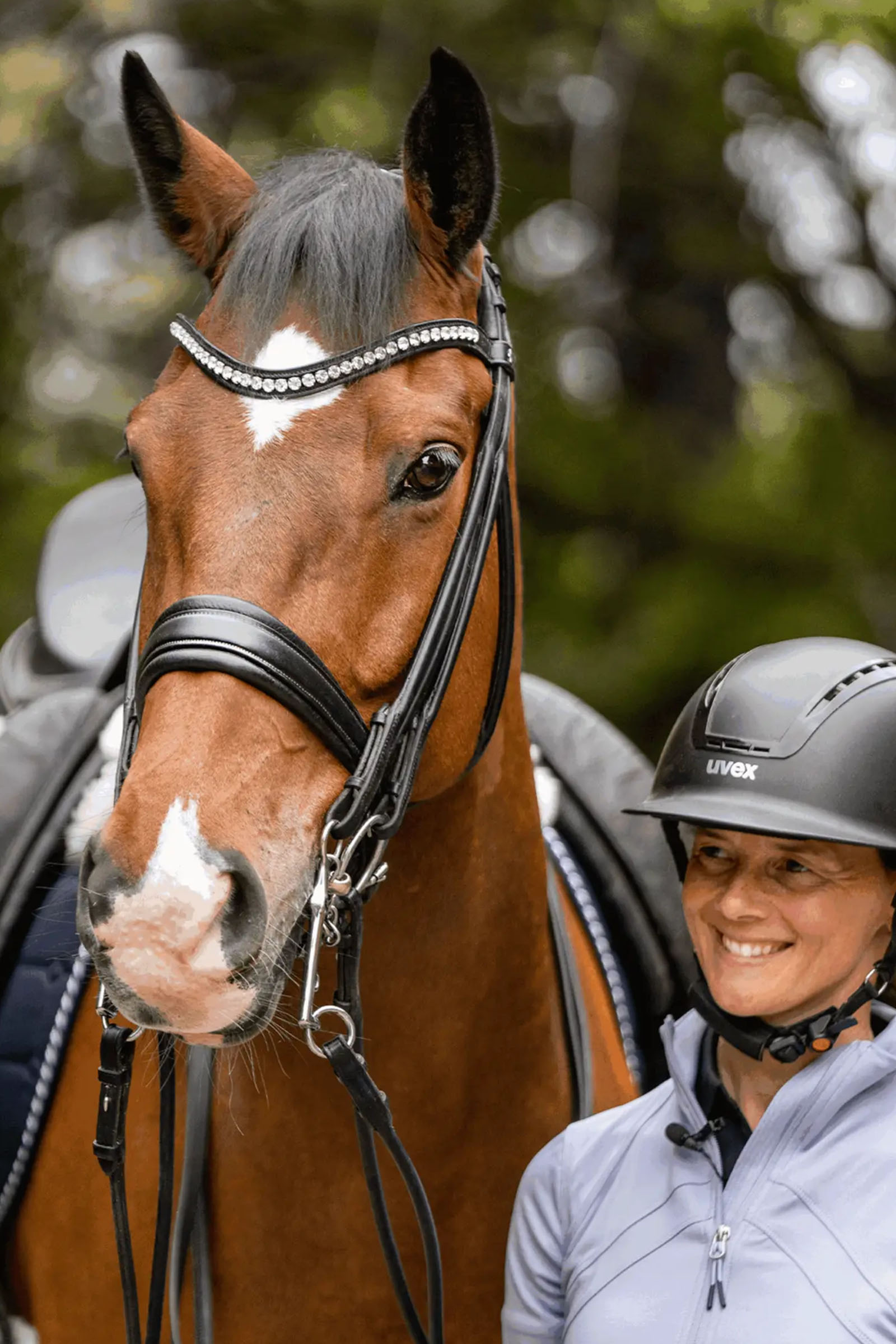 Sprenger Novocontact Weymouth 14mm Sensogan mit 7cm Edelstahl-Schenkeln