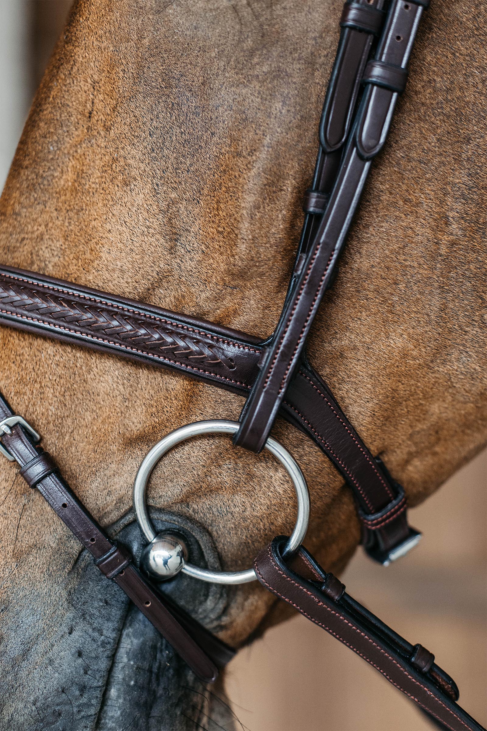 Dy'on New English kombinierte Trense mit Flechtdetails