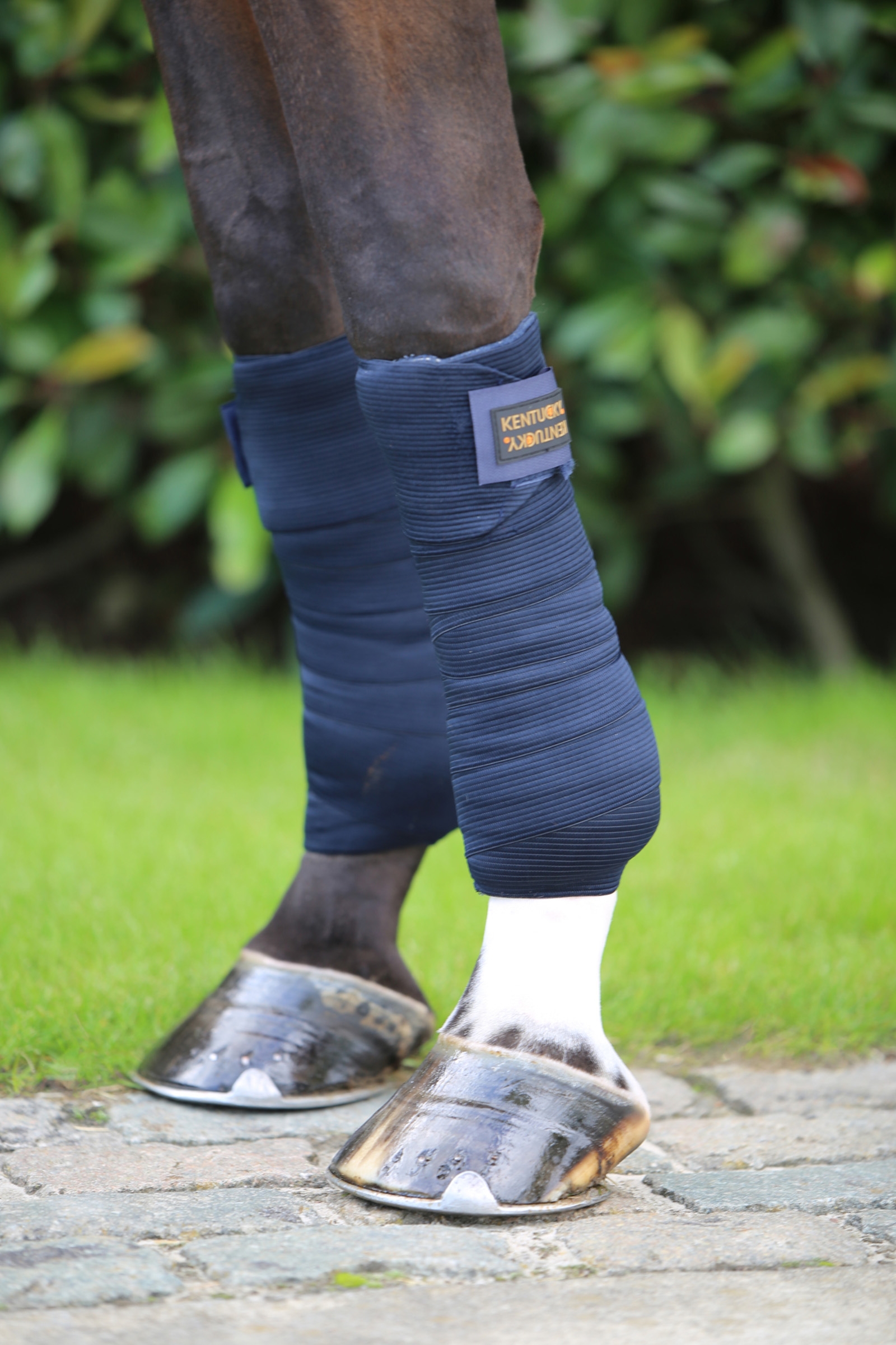 Kentucky Horsewear Elastikbandagen