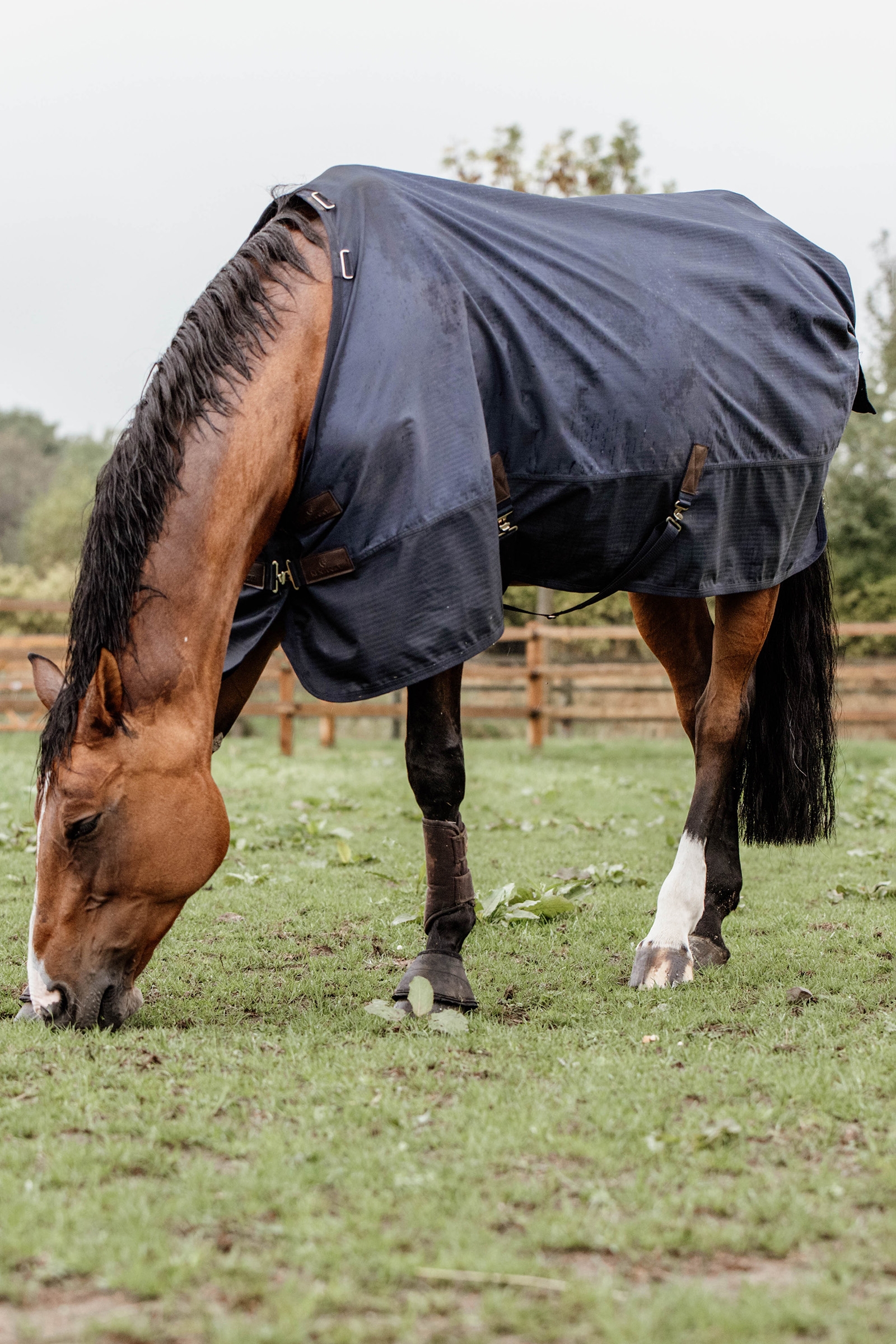 Kentucky Horsewear All Weather Weidedecke,  300g