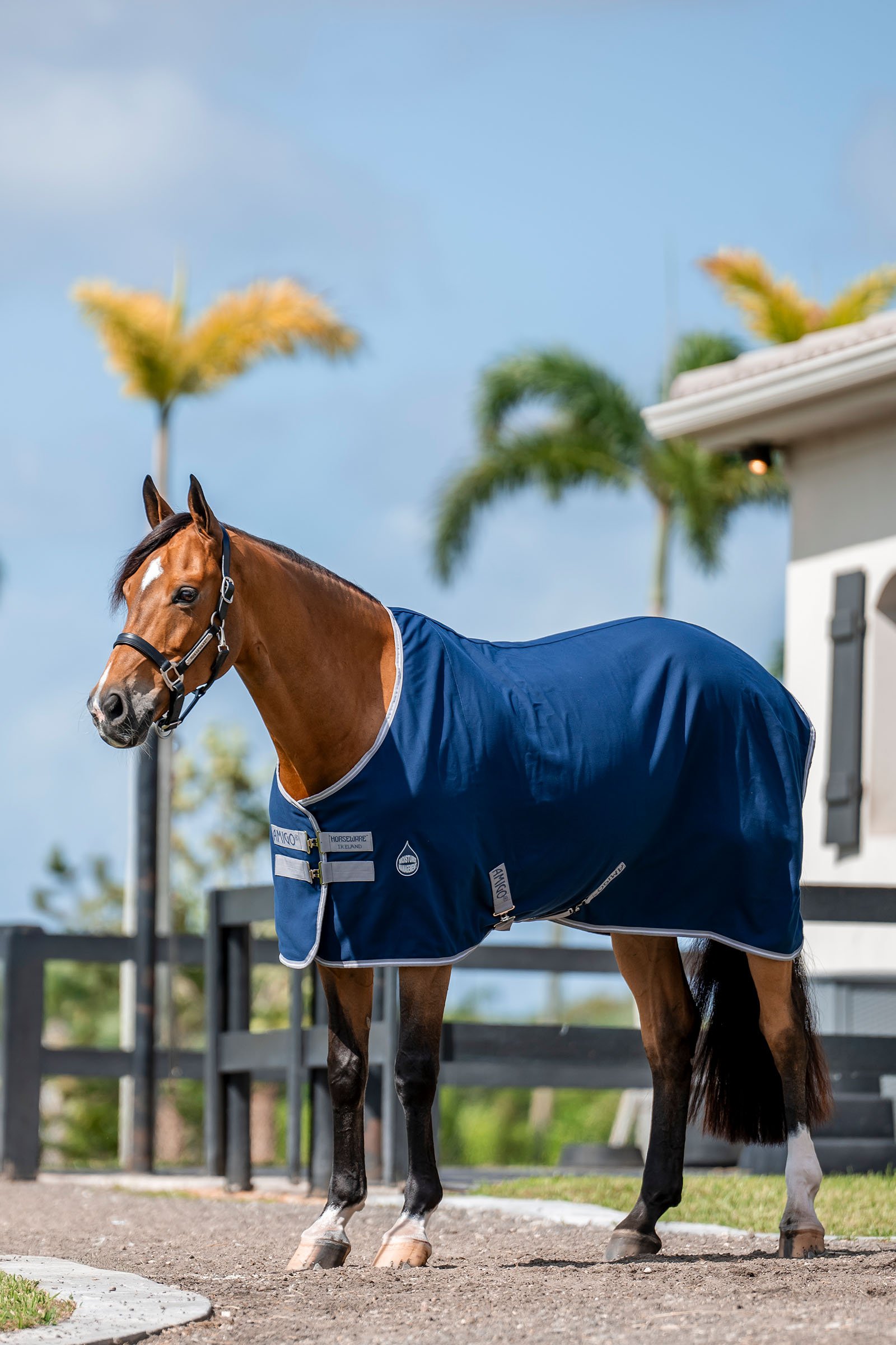 Horseware Amigo Stalldecke, 0g