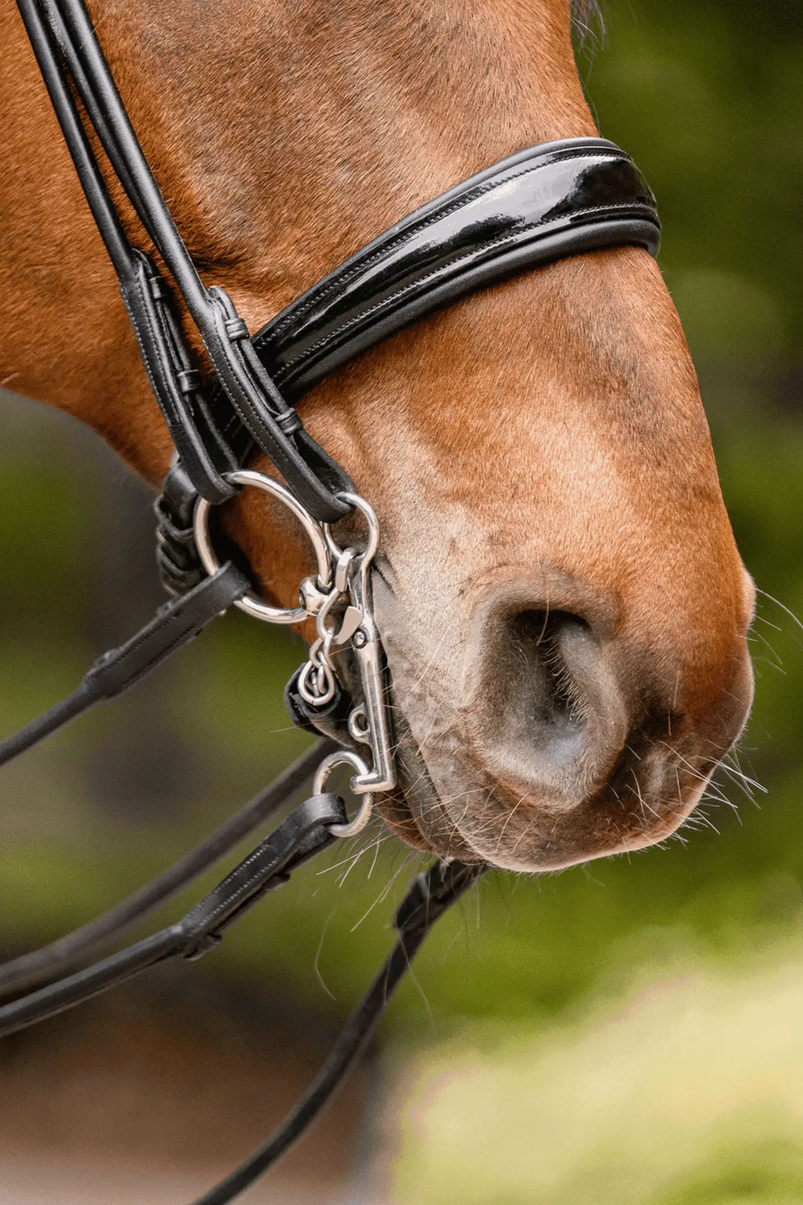 Sprenger Novocontact Weymouth 14mm Sensogan mit 5cm Edelstahl-Schenkeln