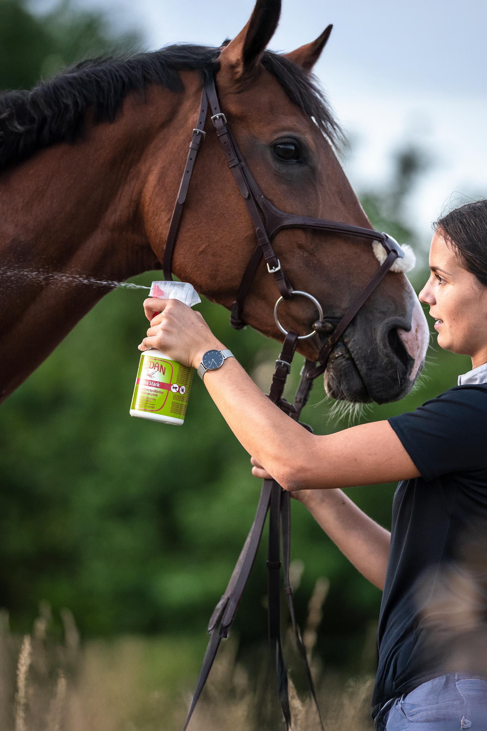 Zedan SP extra stark Insektenschutz Sprühlotion, Fliegenspray, 500ml
