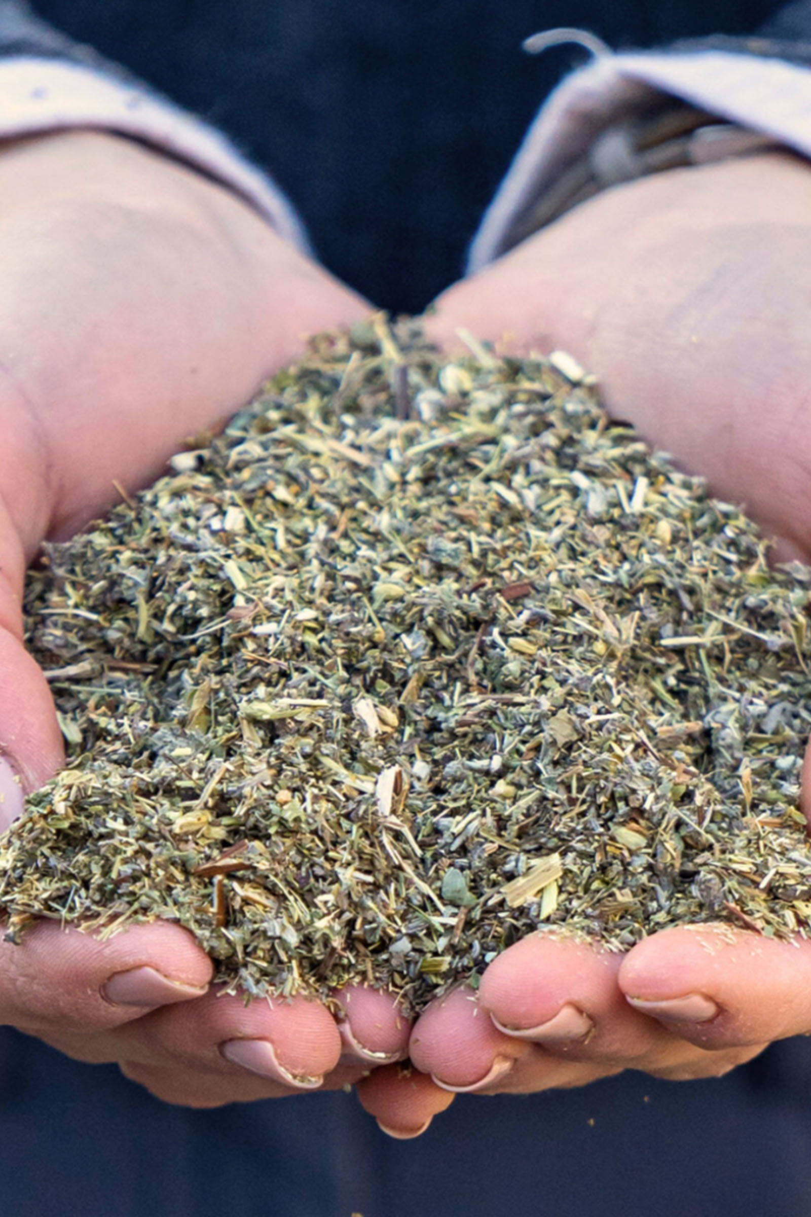 Stiefel Darmkr&auml;uter, 1kg