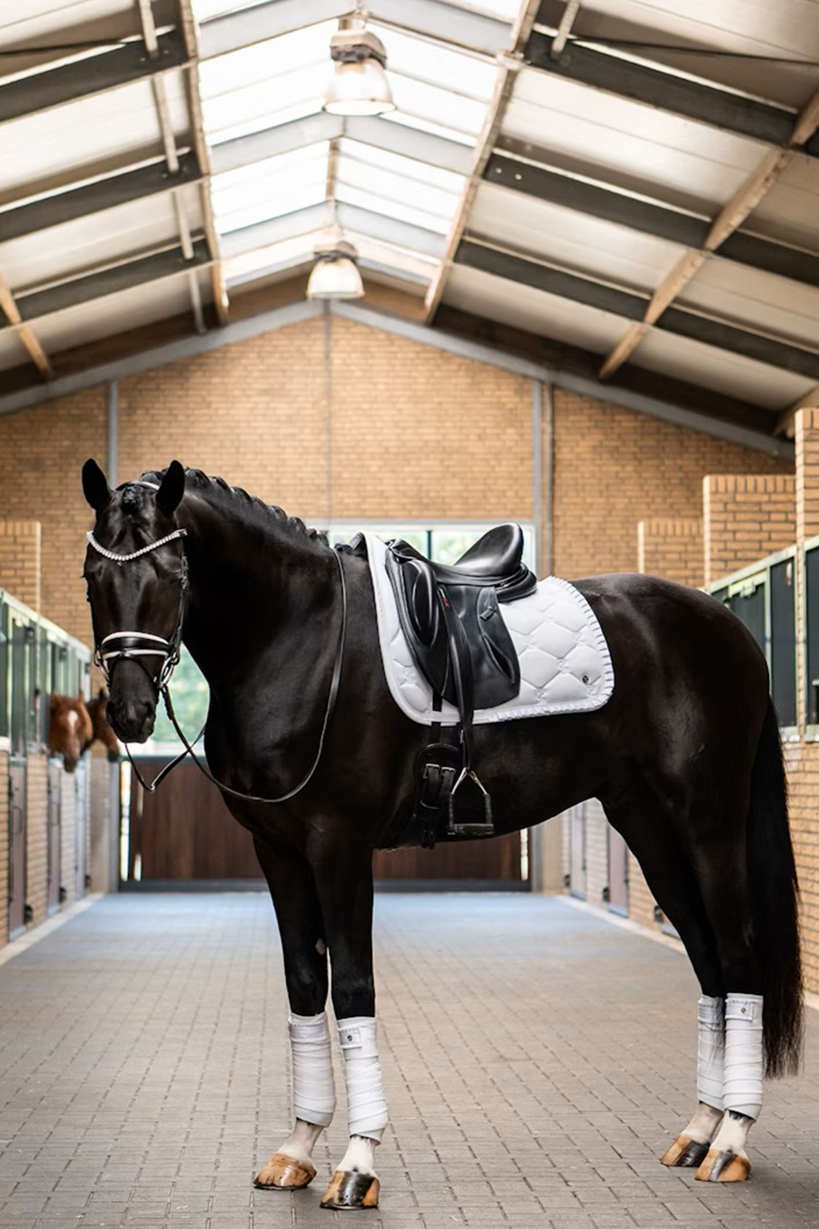 PS of Sweden Dressurschabracke Ruffle