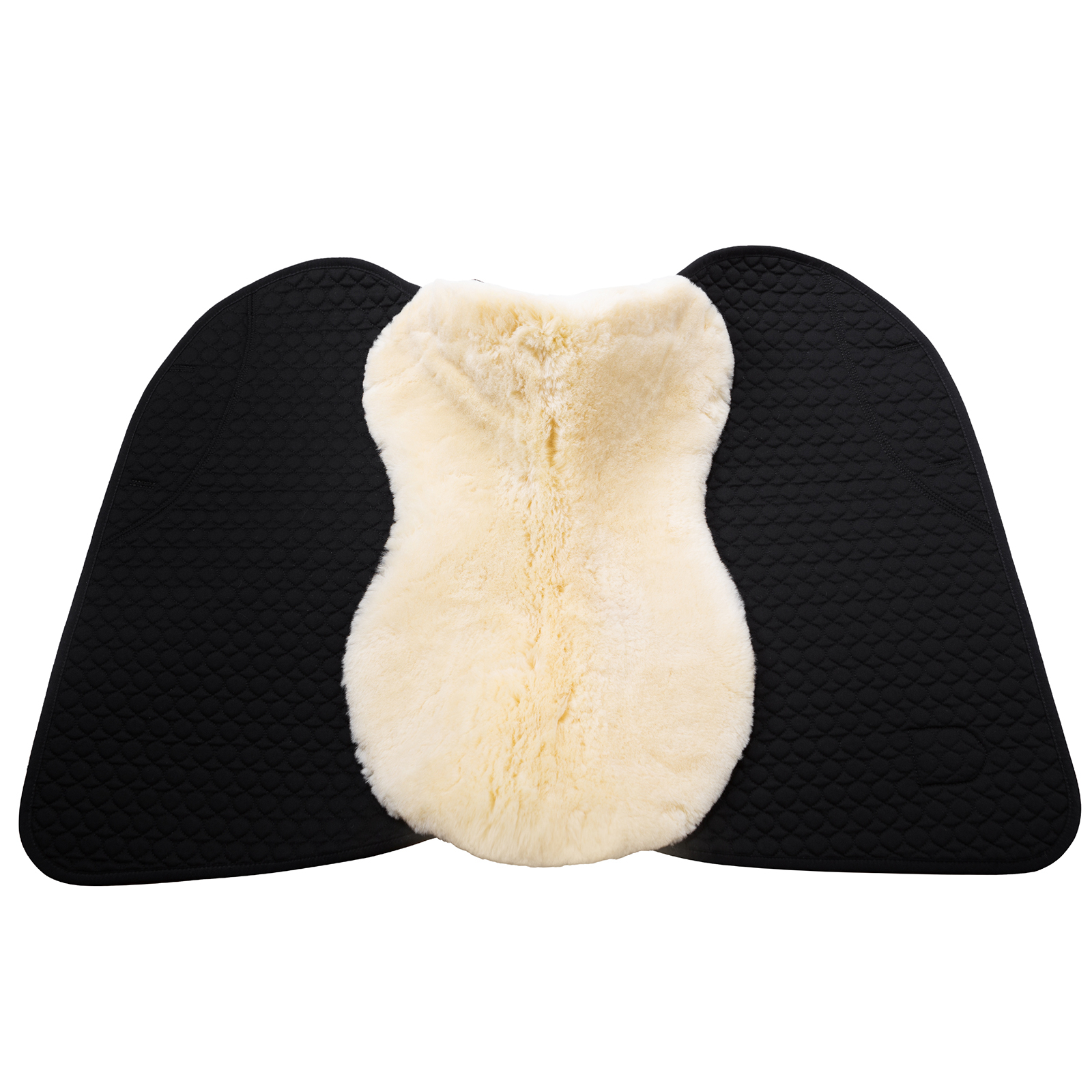 Christ Champ S Springschabracke