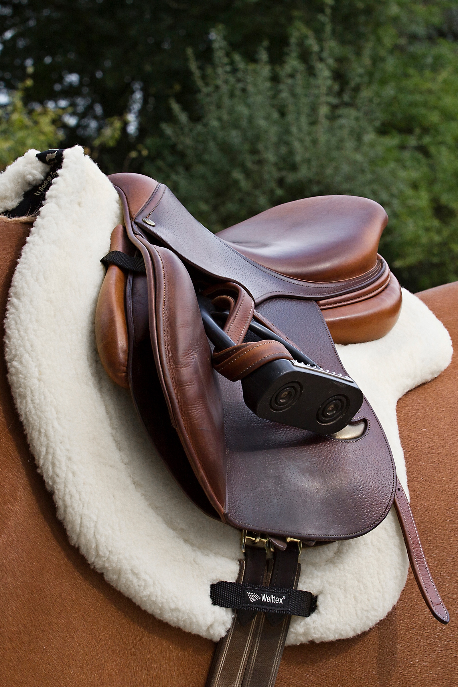 Back on Track "Teddy" Satteldecke