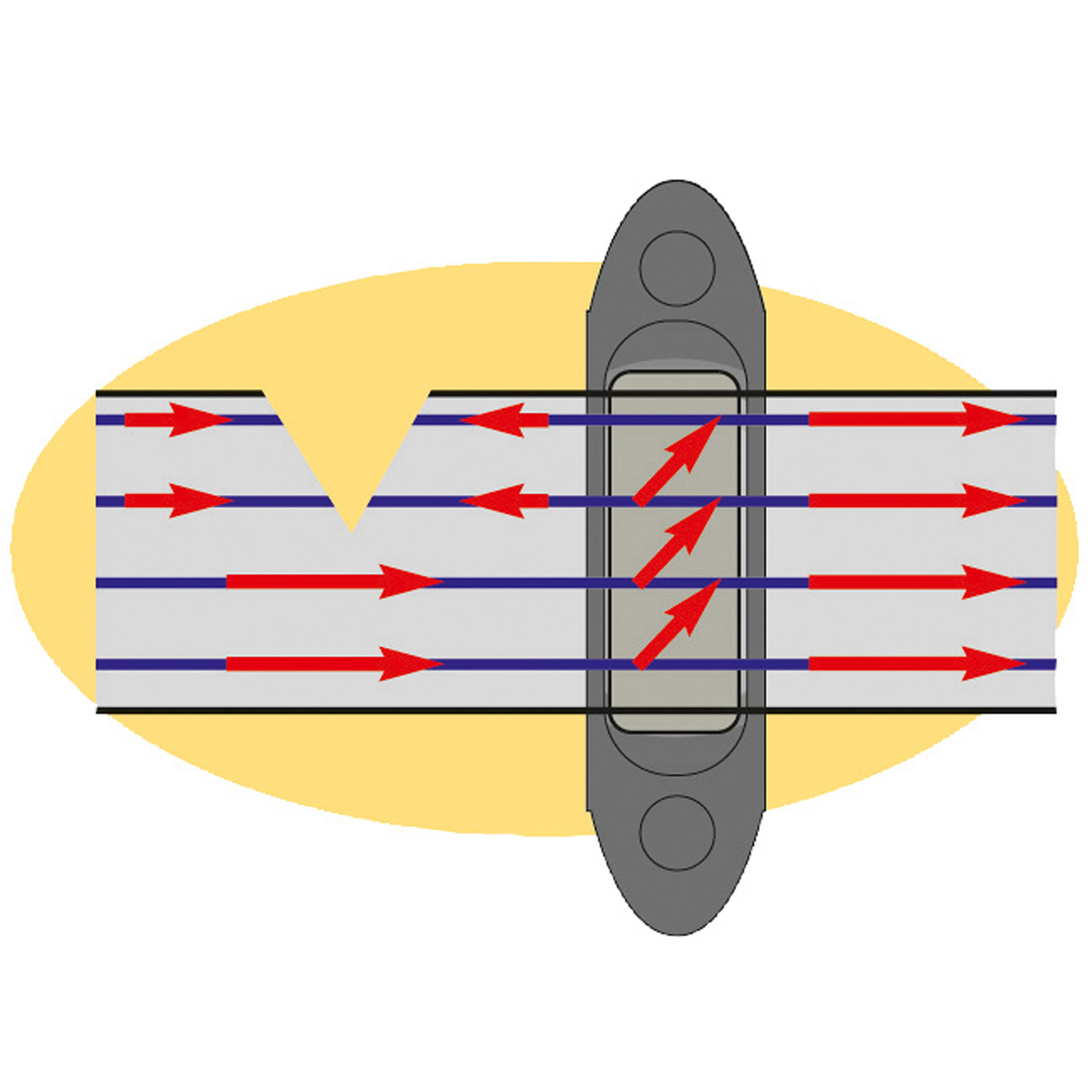 CORRAL Farm Patrol Eck- und Abstandisolator Profi, 10 Stk.
