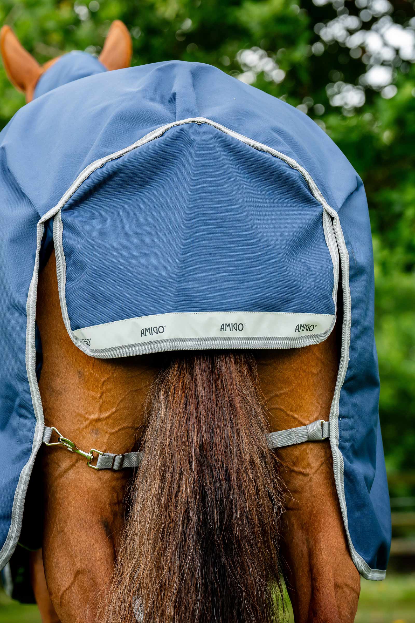 Horseware Amigo Bravo 12 Plus Weidedecke mit abnehmbarem Halsteil, 0g