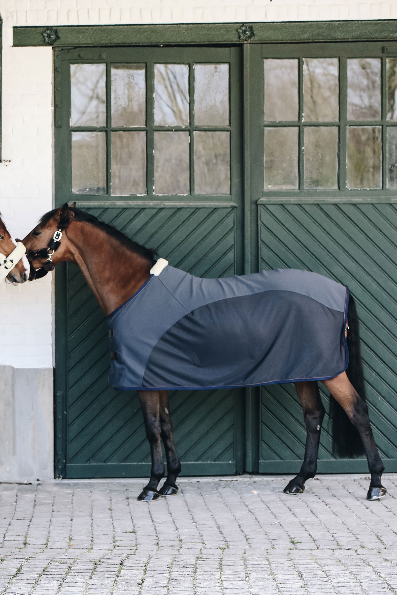 Kentucky Horsewear Softshell Abschwitzdecke