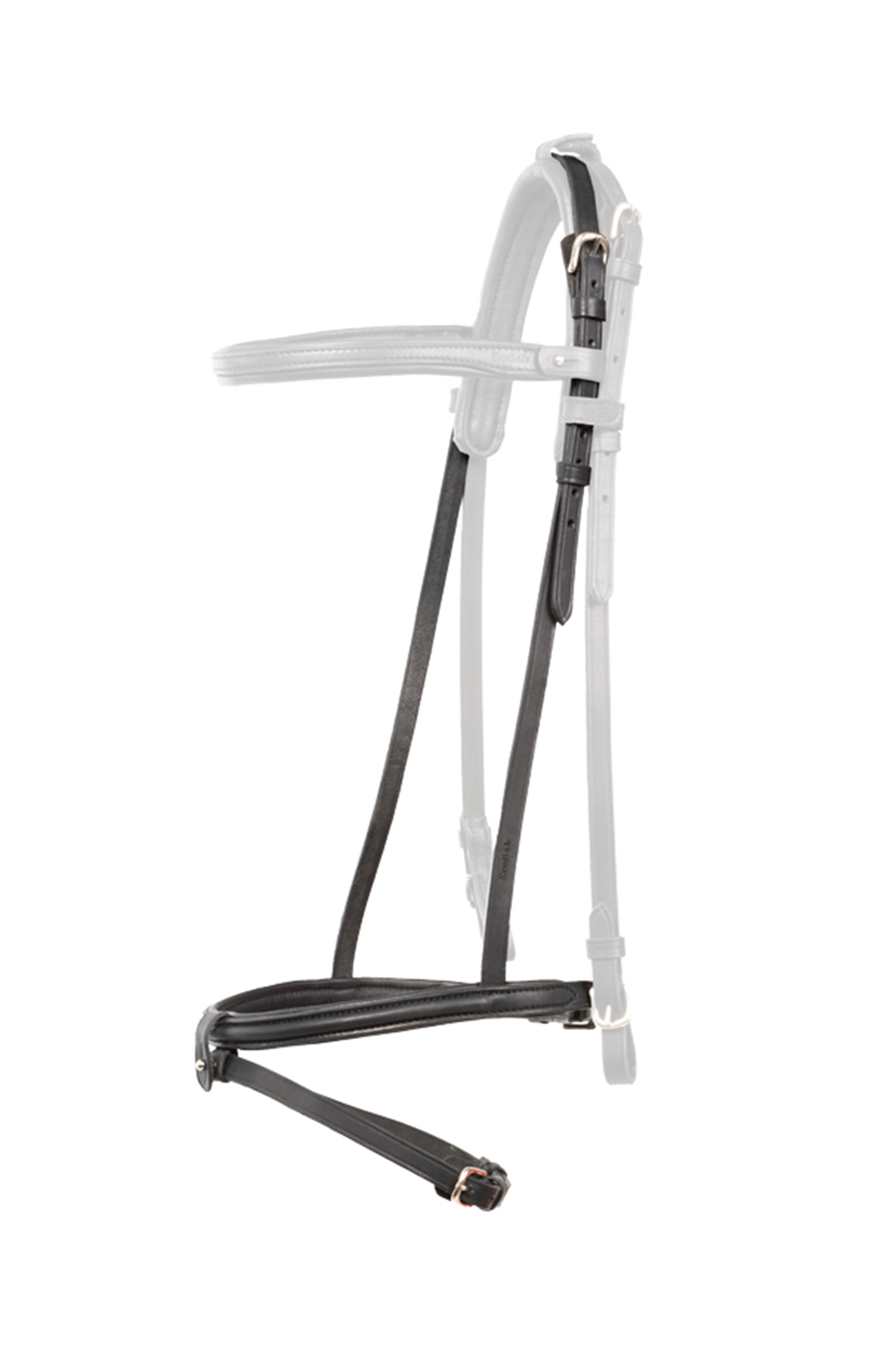 Kavalkade Svartur Englisches Reithalfter für Islandtrense Kjartan