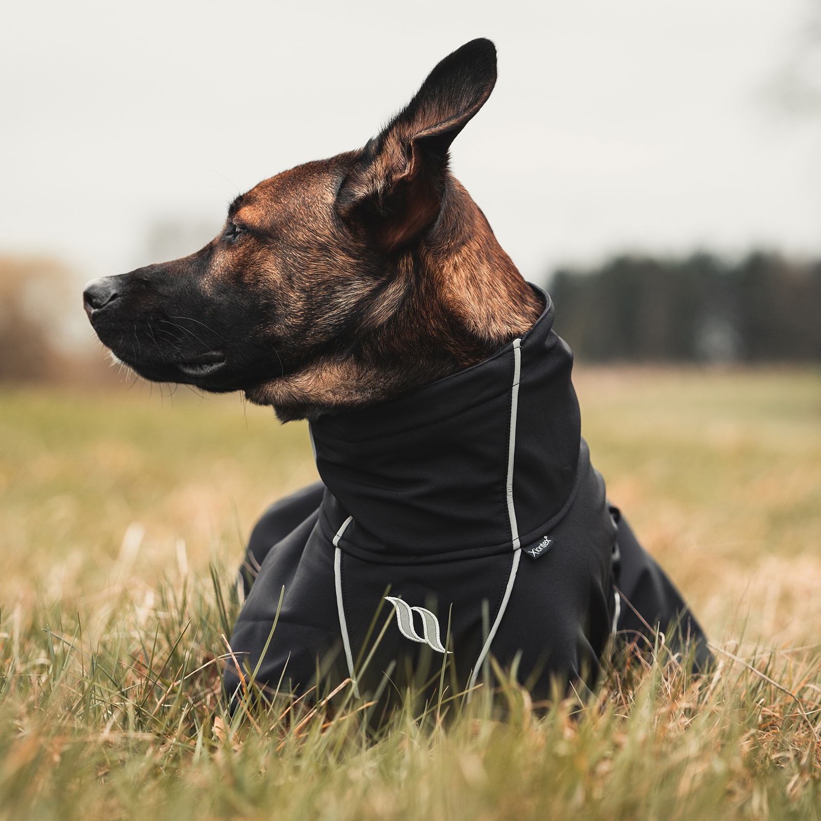 Back on Track Nella All-Round Hundemantel, 25-35cm