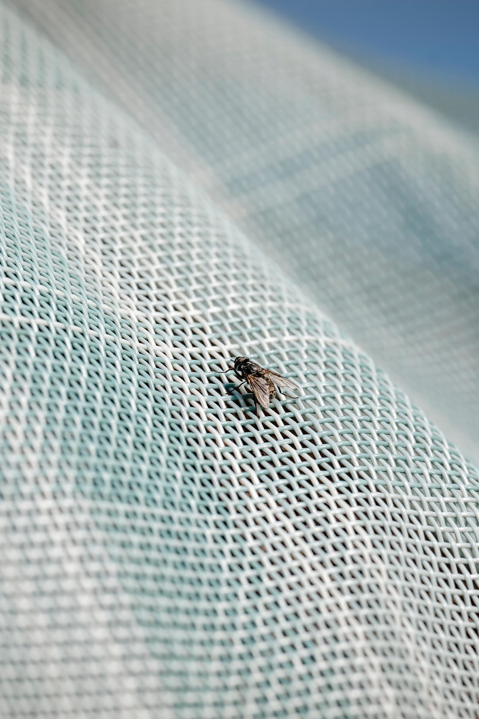 Horseware Newmarket Fliegendecke mit UV-Schutz