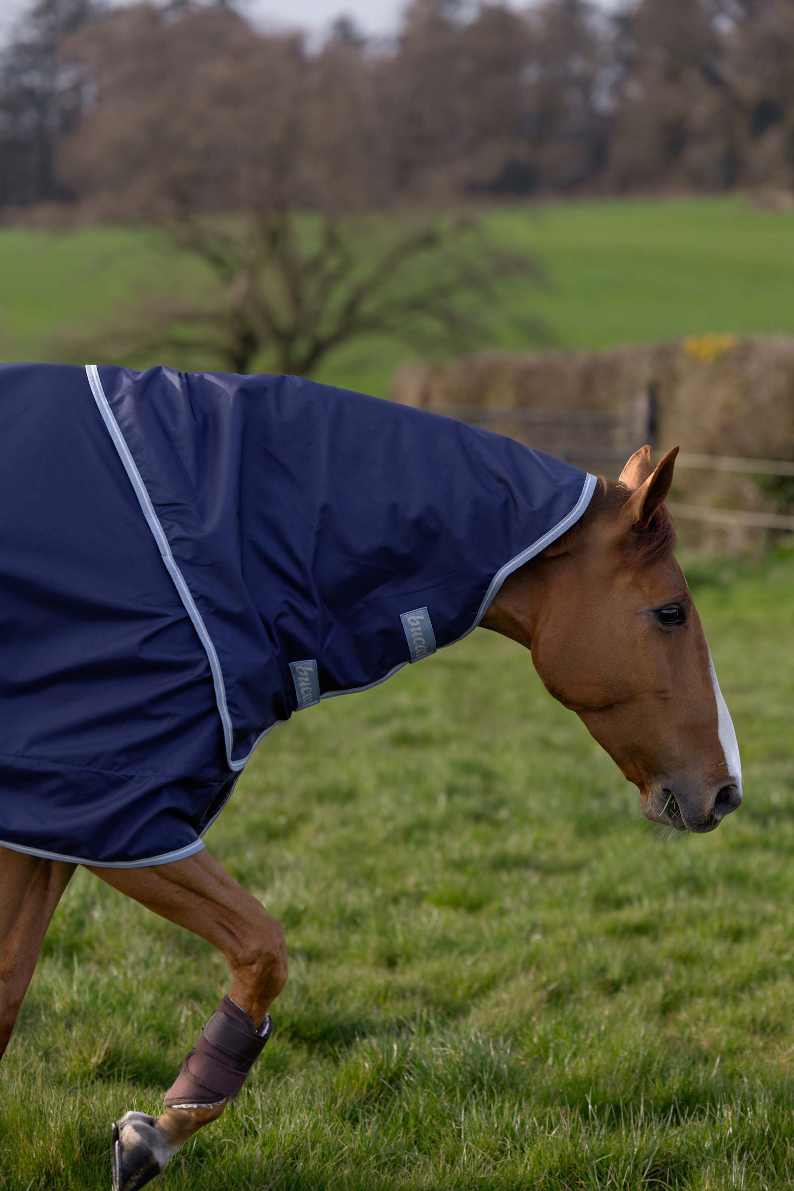 Bucas Atlantic Exclusive Decke & Halsteil Set, 0 g